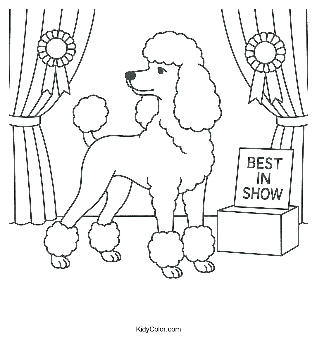 Coloring page of a poodle winning Best in Show