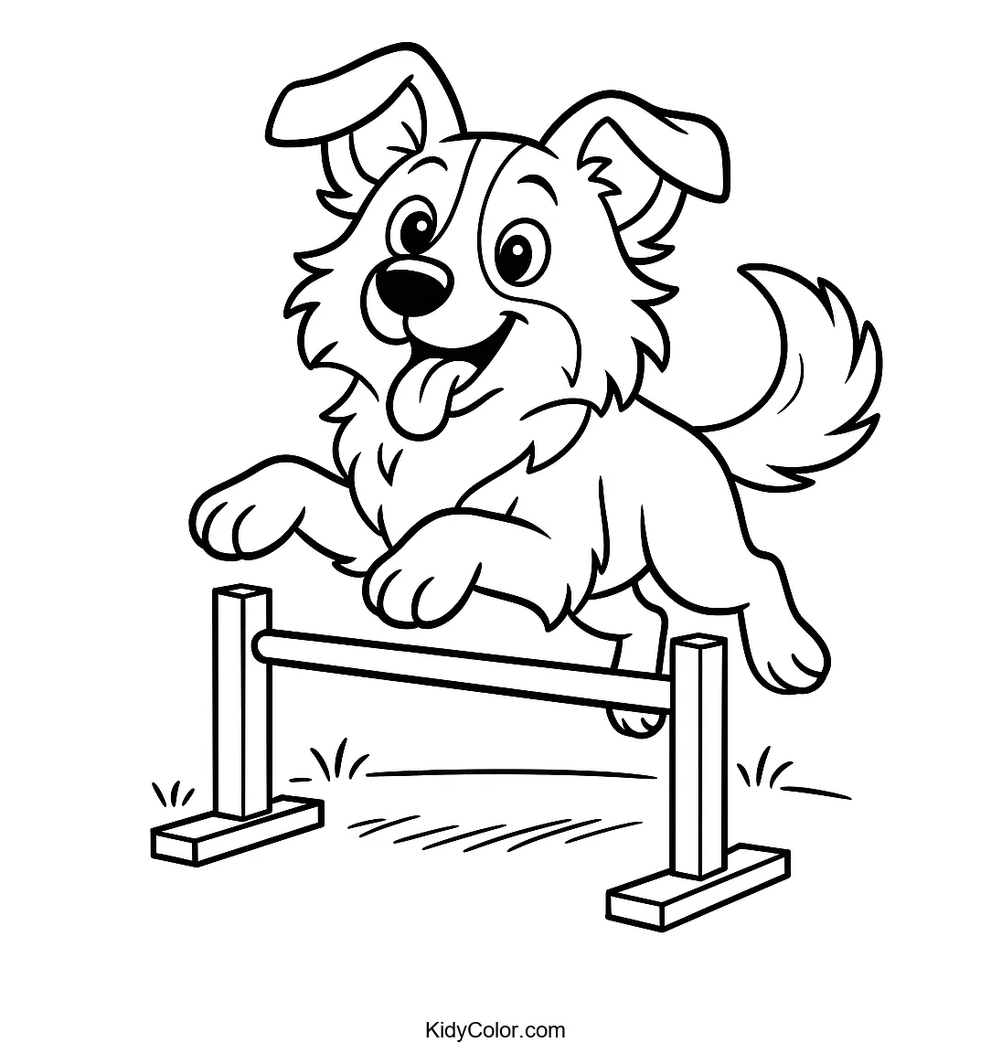 Border Collie jumping over an agility hurdle