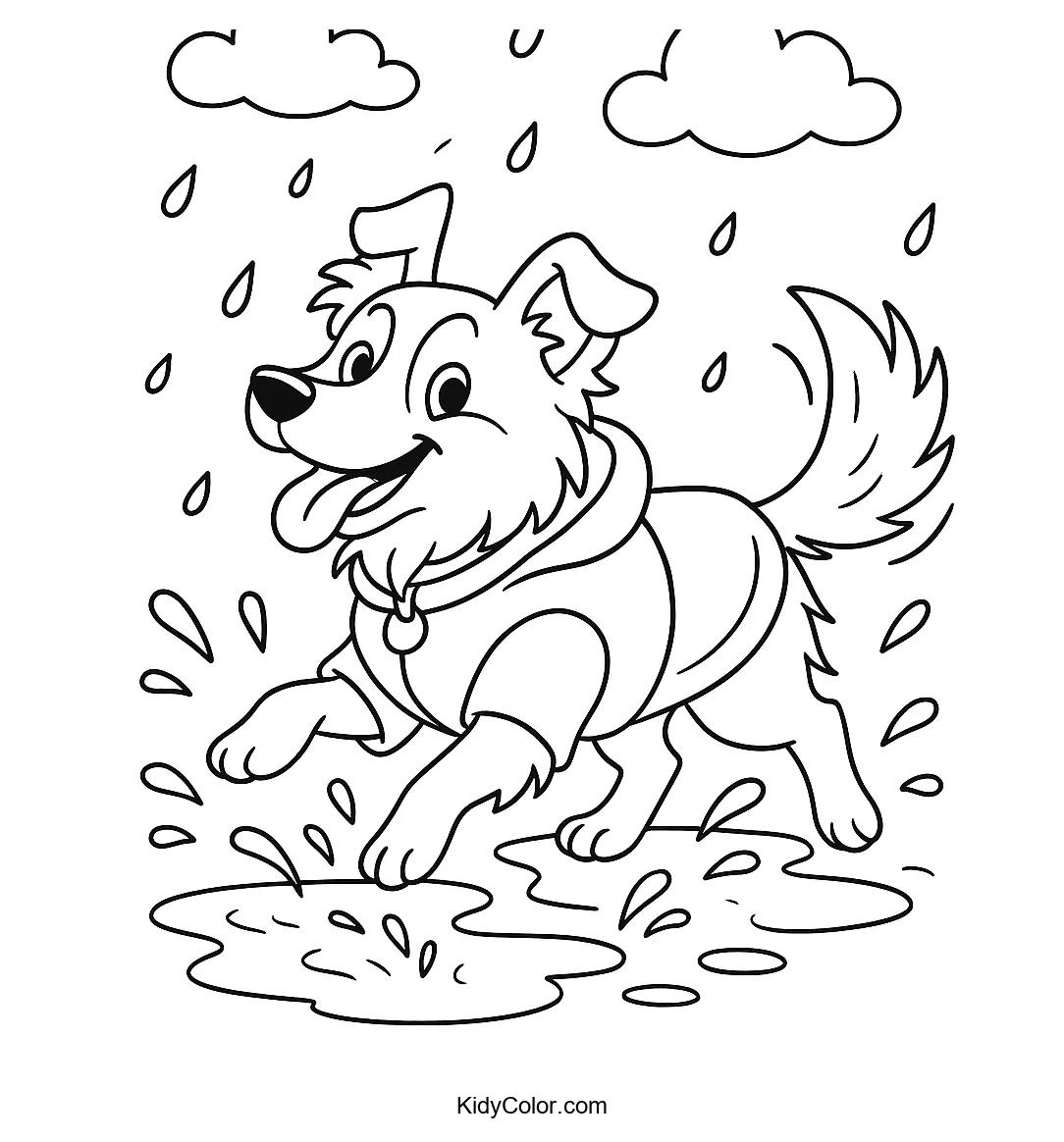 Collie dog splashing in puddles