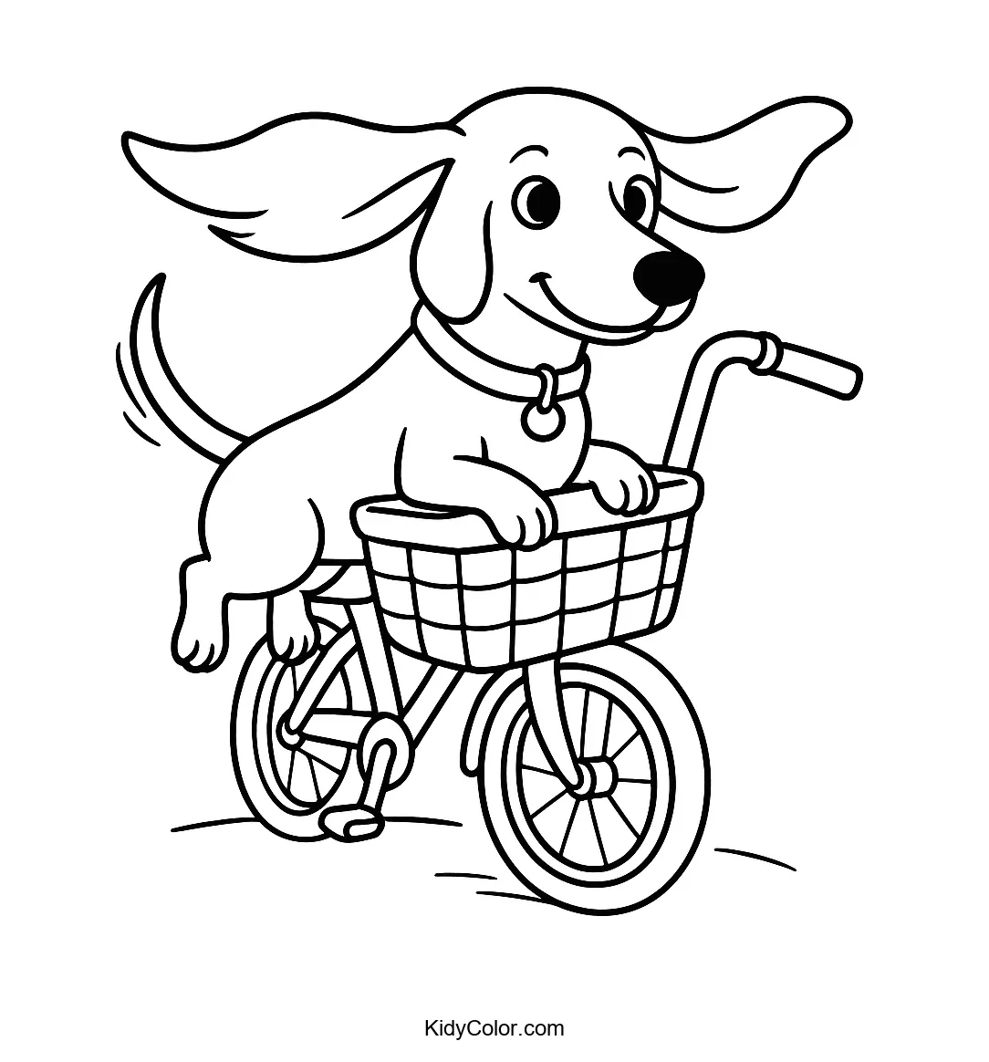 Dachshund sitting in a bicycle basket illustration