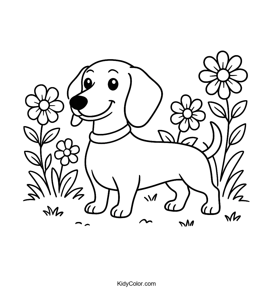 Dachshund in a flower garden