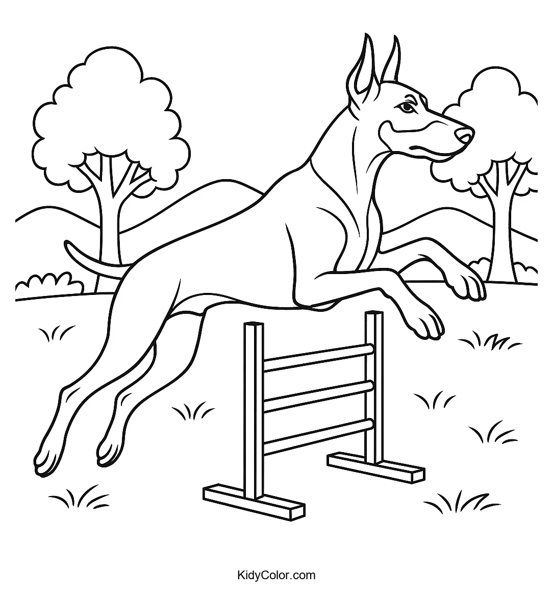 Doberman jumping over an agility hurdle