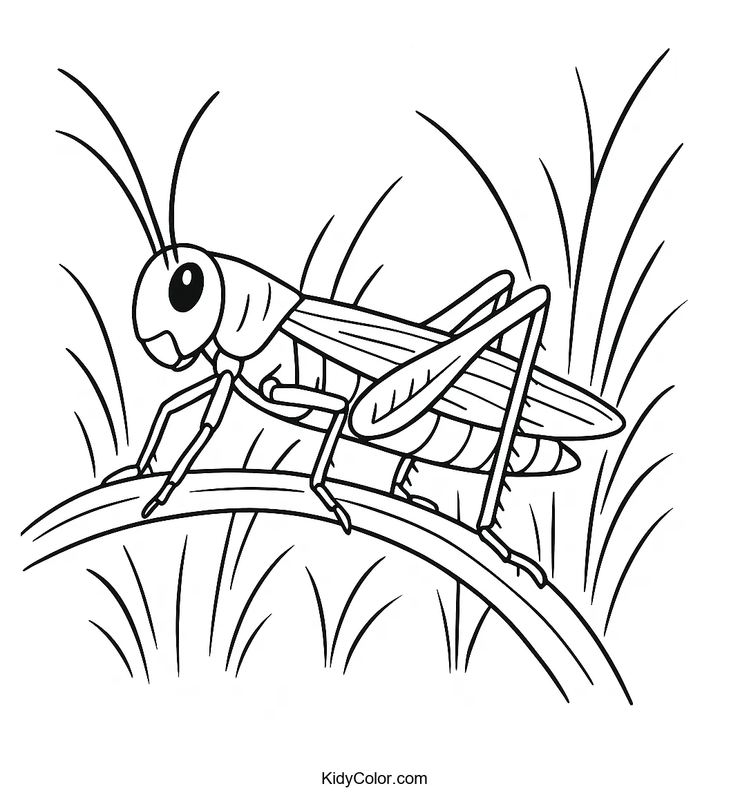 Grasshopper sitting on a blade of grass