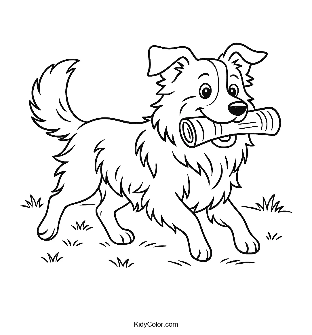 Happy Border Collie carrying a newspaper