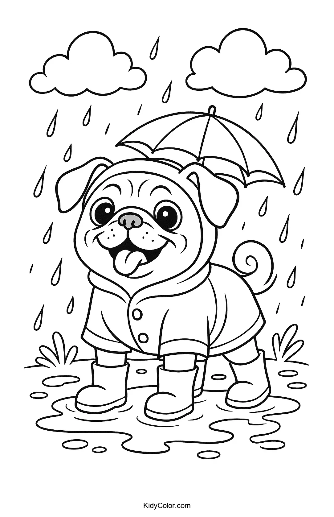 Pug standing in the rain with a puddle