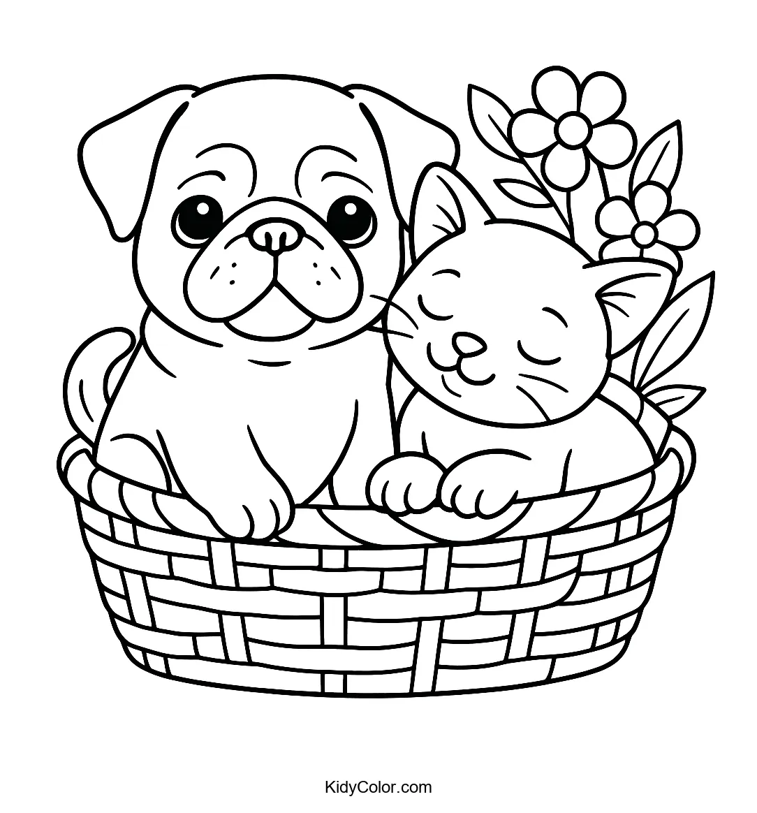 Puppy and kitten sitting together in a basket