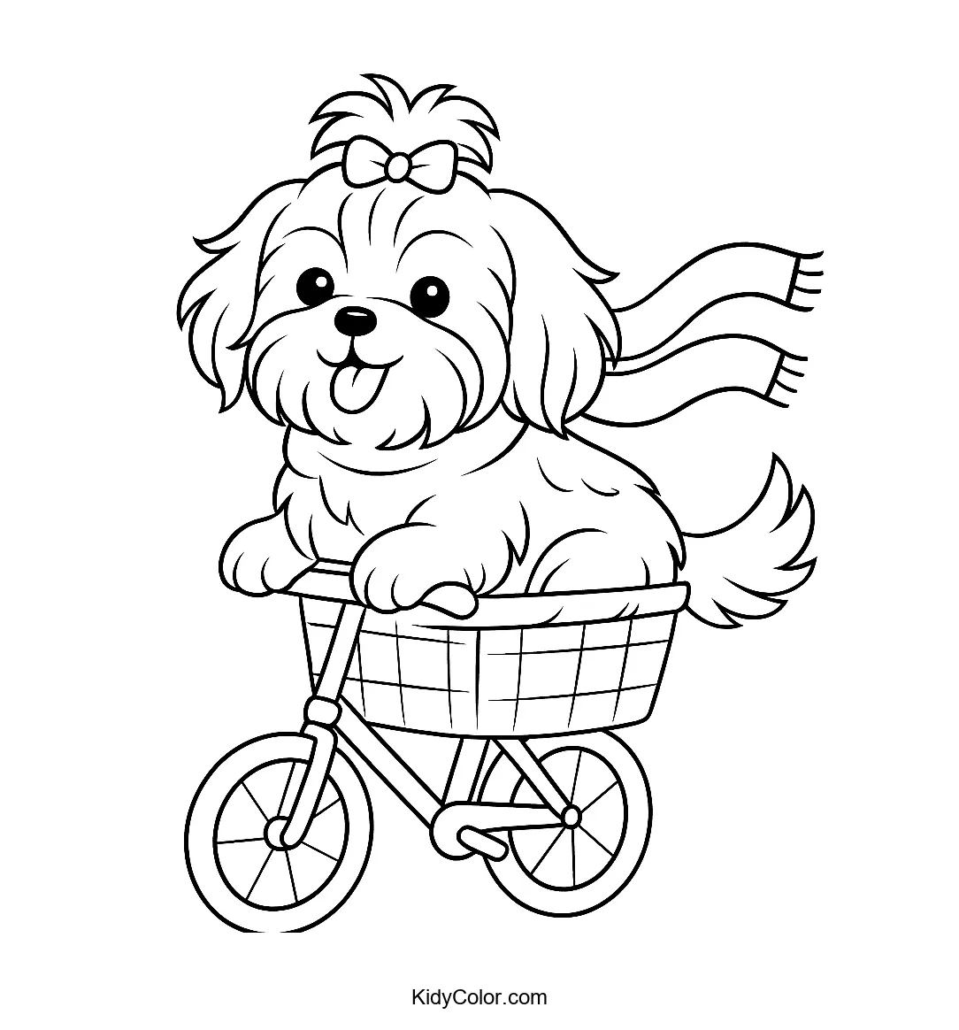 Shih Tzu riding a bicycle