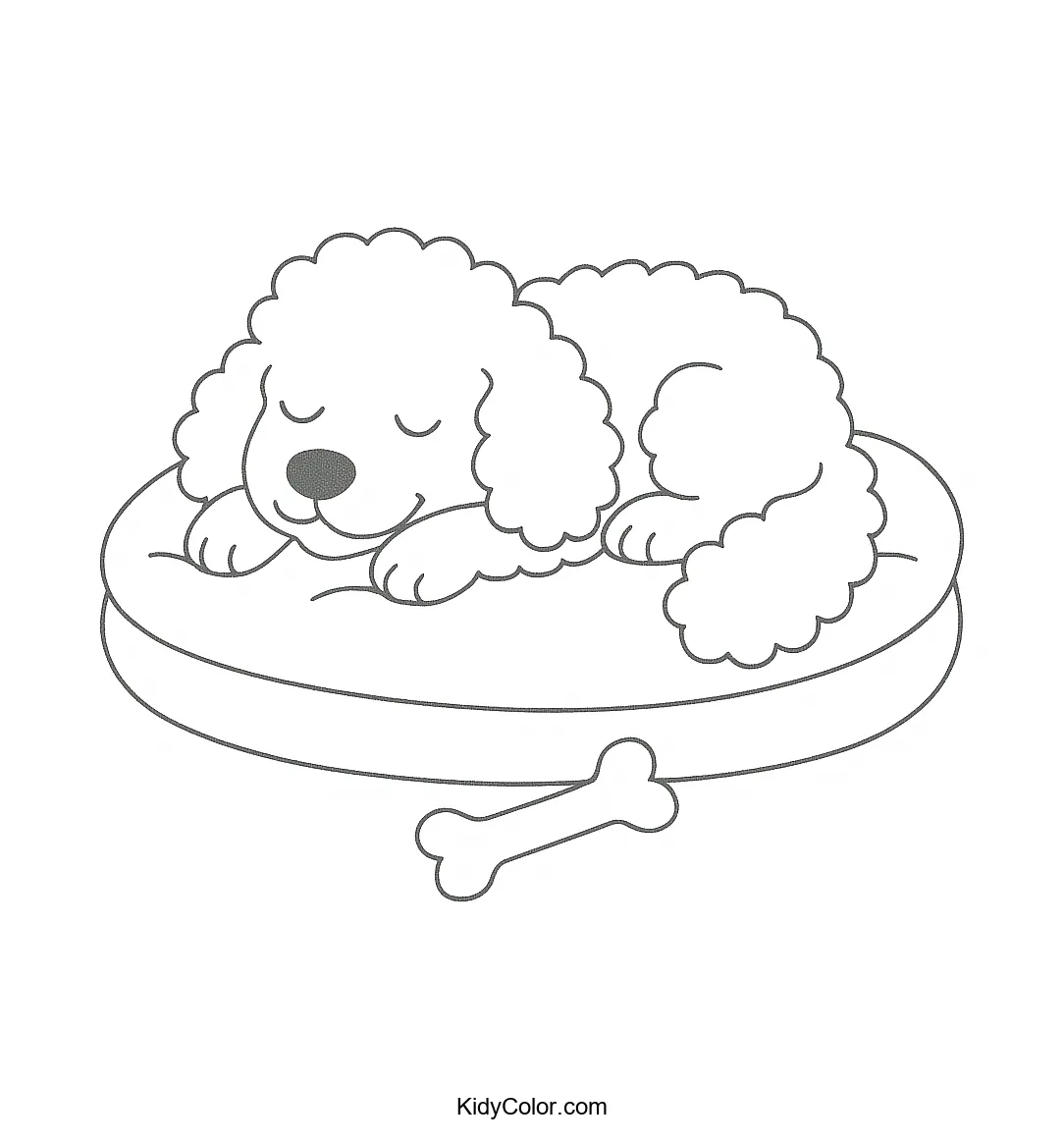 Sleeping poodle on a dog bed