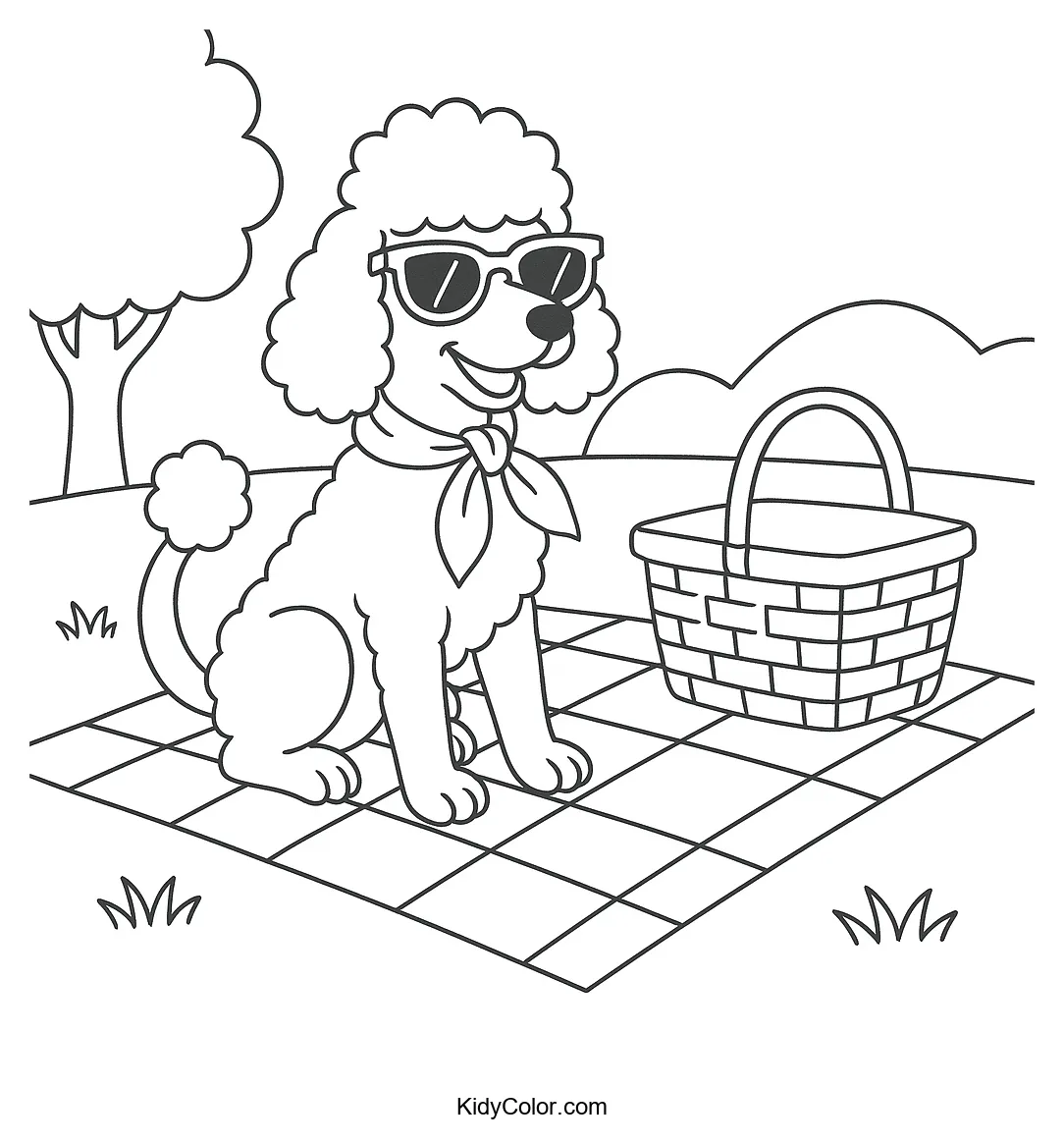 Stylish poodle on a picnic blanket