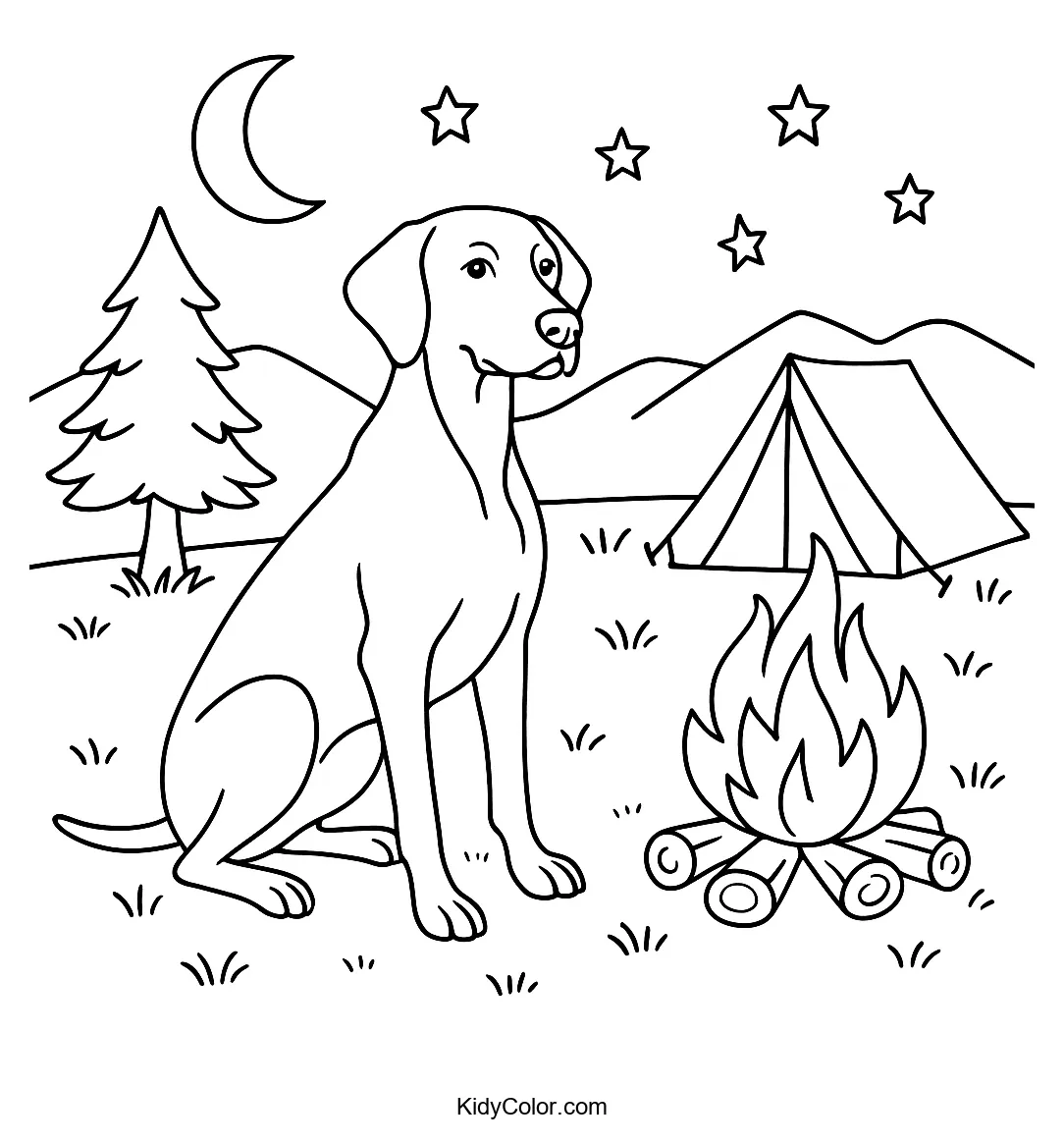 Vizsla dog by a campfire at night