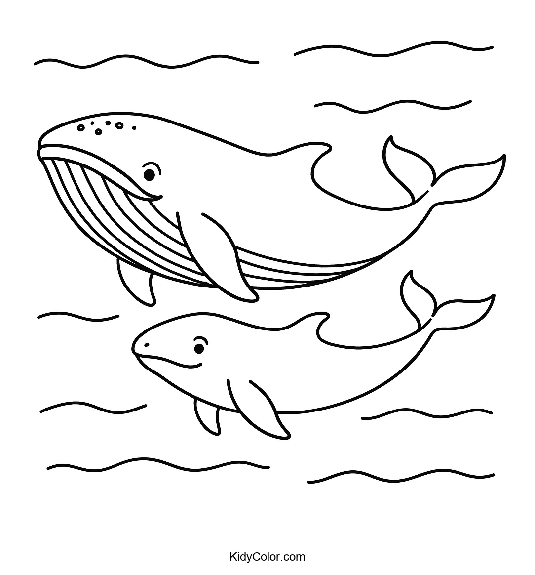 Whales swimming together