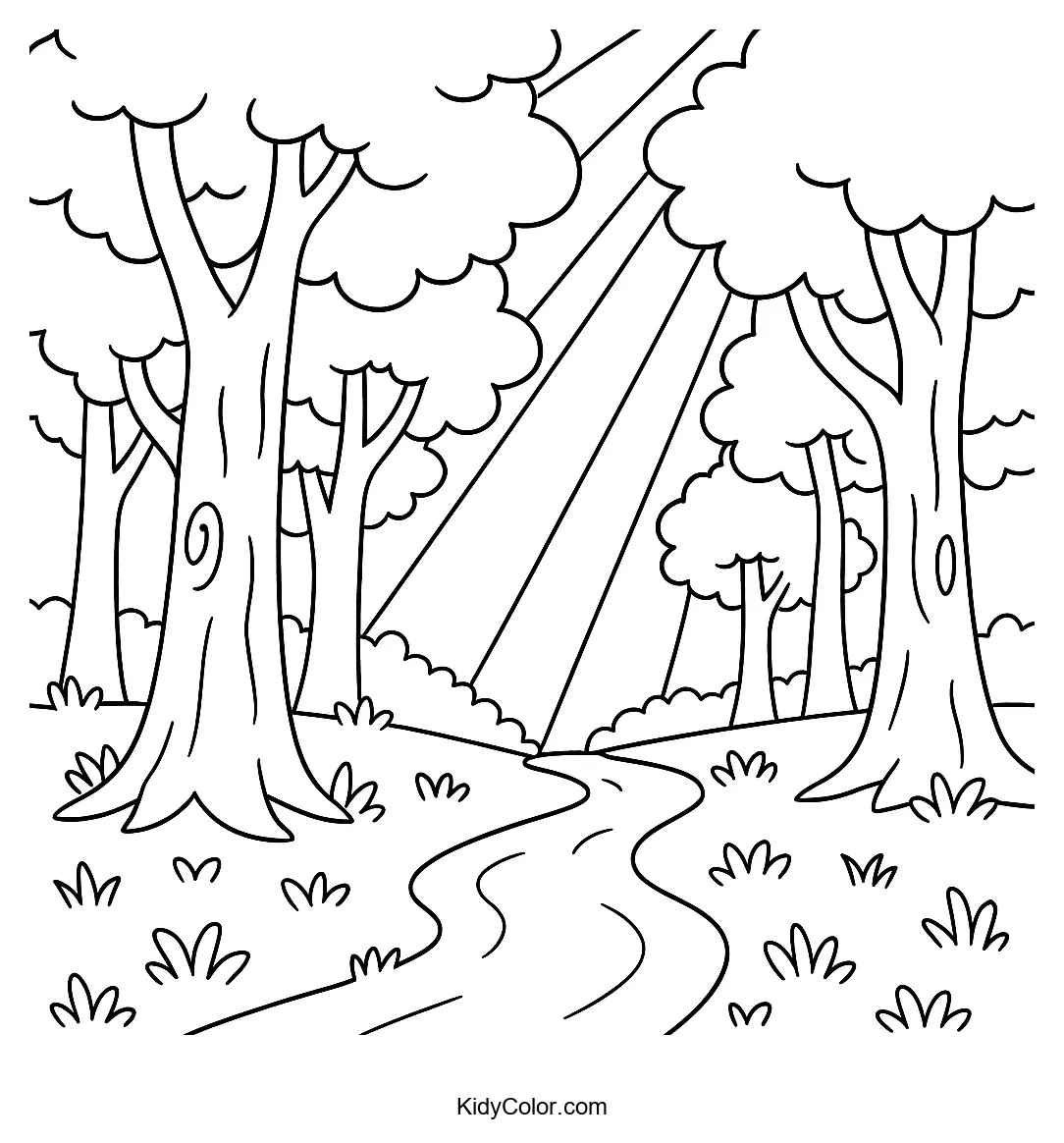 Forest path with tall trees and sunbeams
