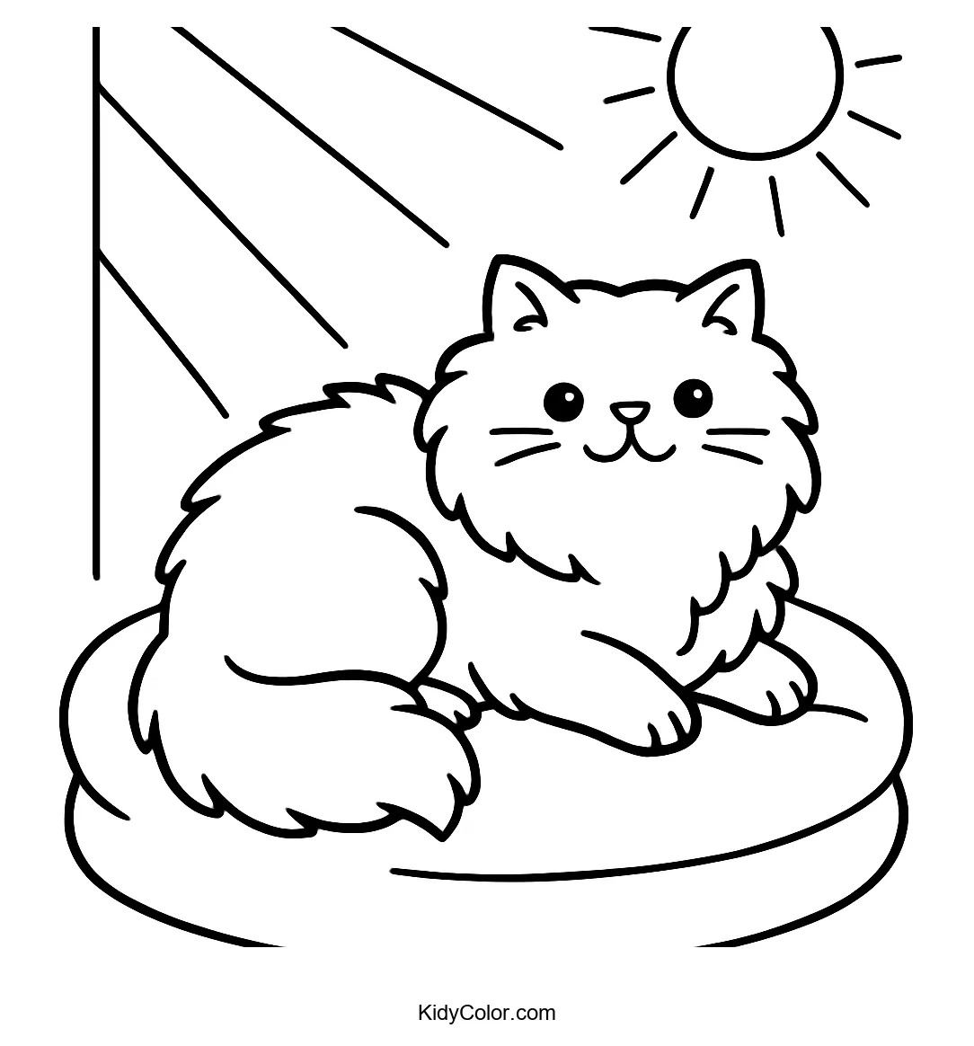 Fluffy Persian cat on a cushion