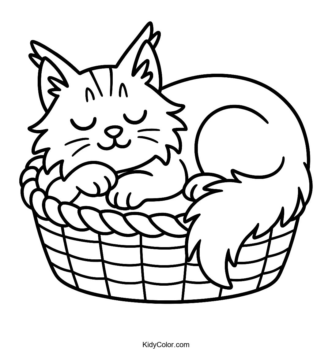 Sleepy Maine Coon cat in a basket