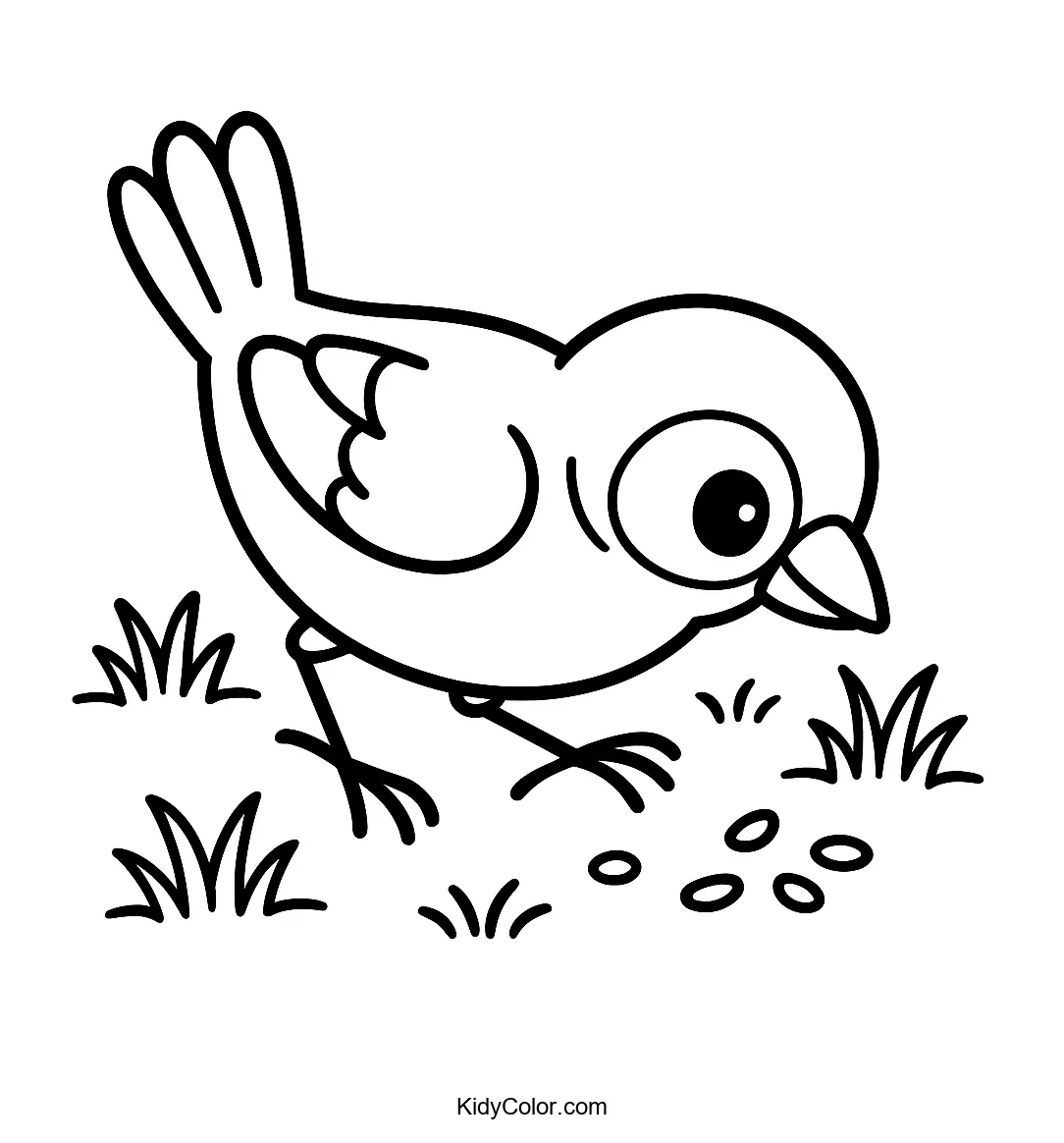 Finch hopping on grass for kids