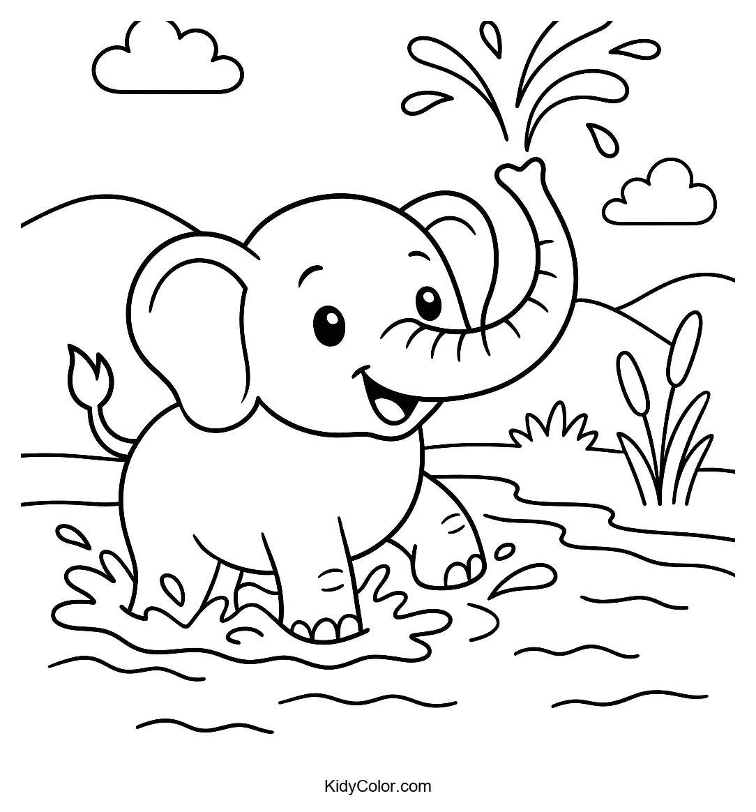Elephant spraying water with trunk