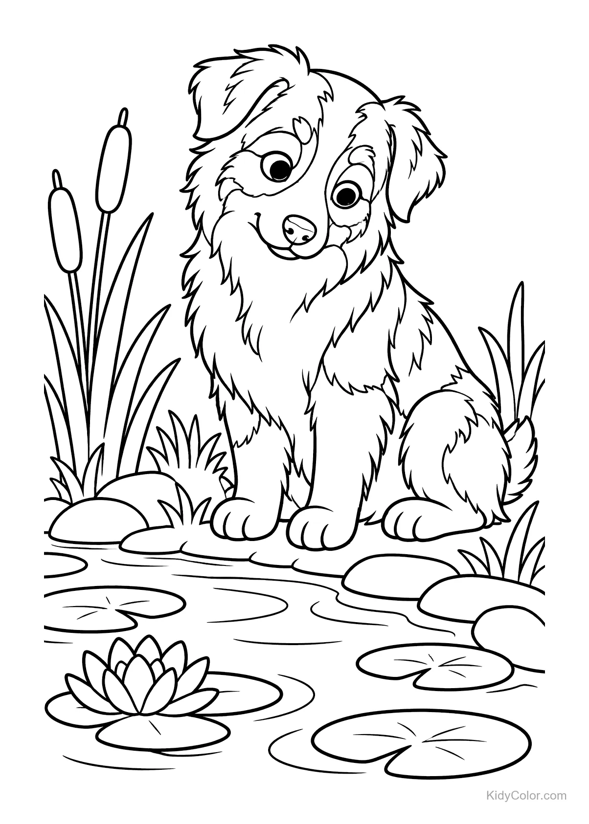 Australische herder zittend bij een vijver met riet en waterlelies.