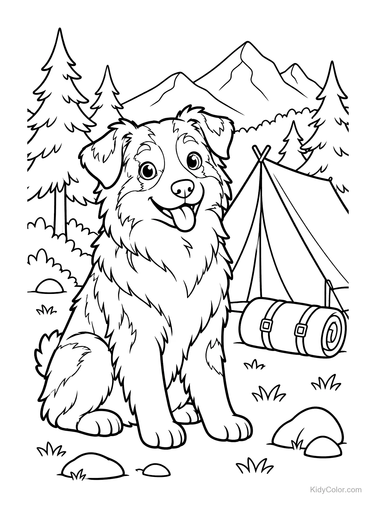 Australischer Schäferhund sitzt neben einem Zelt im Gebirge.