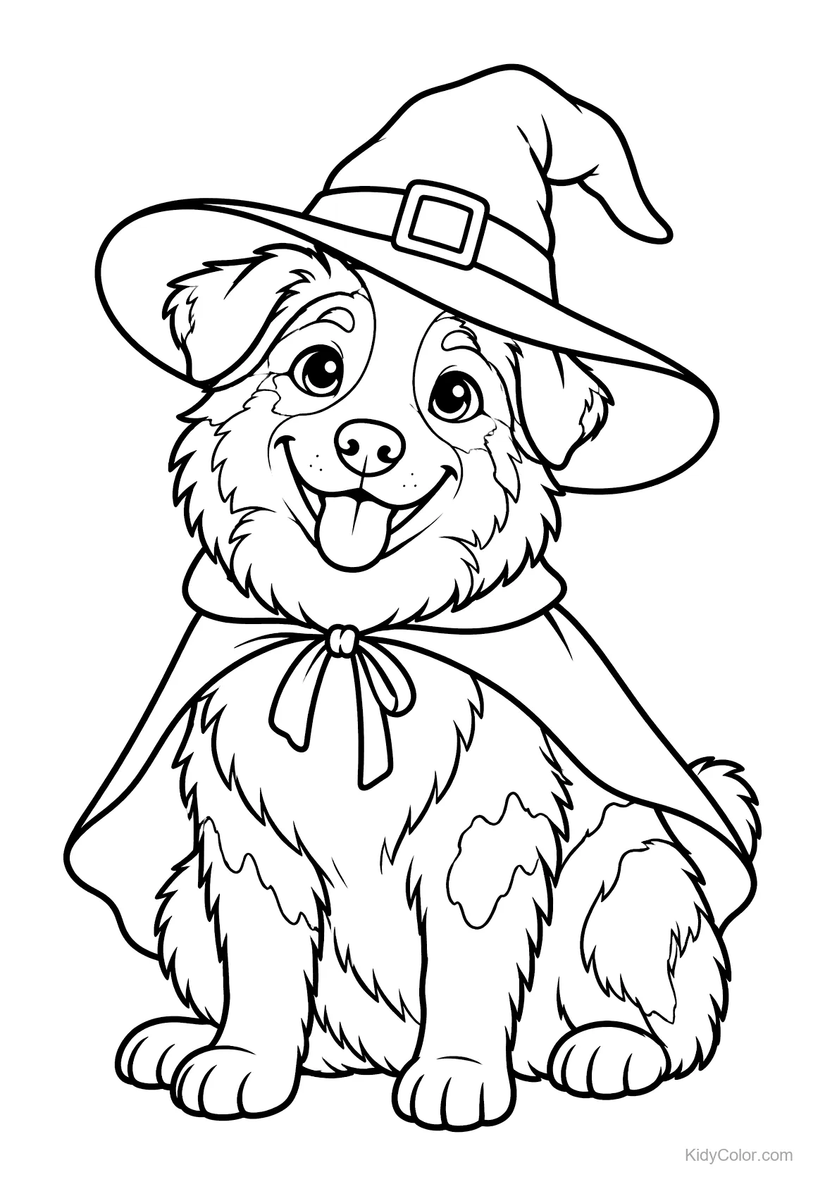 Australian Shepherd mit Hexenhut und Umhang.
