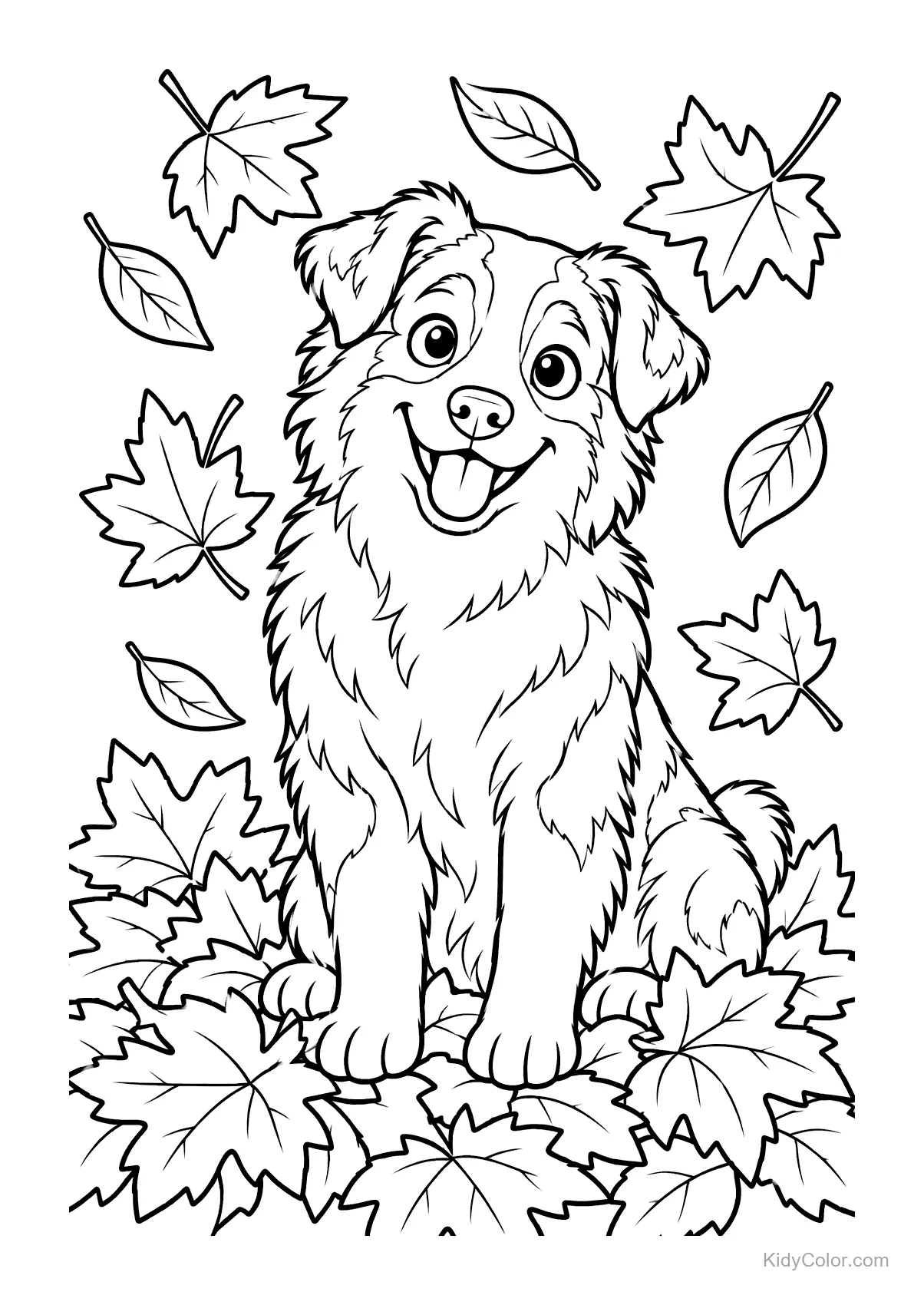 Australian Shepherd sitzt im Herbstlaub und lächelt.