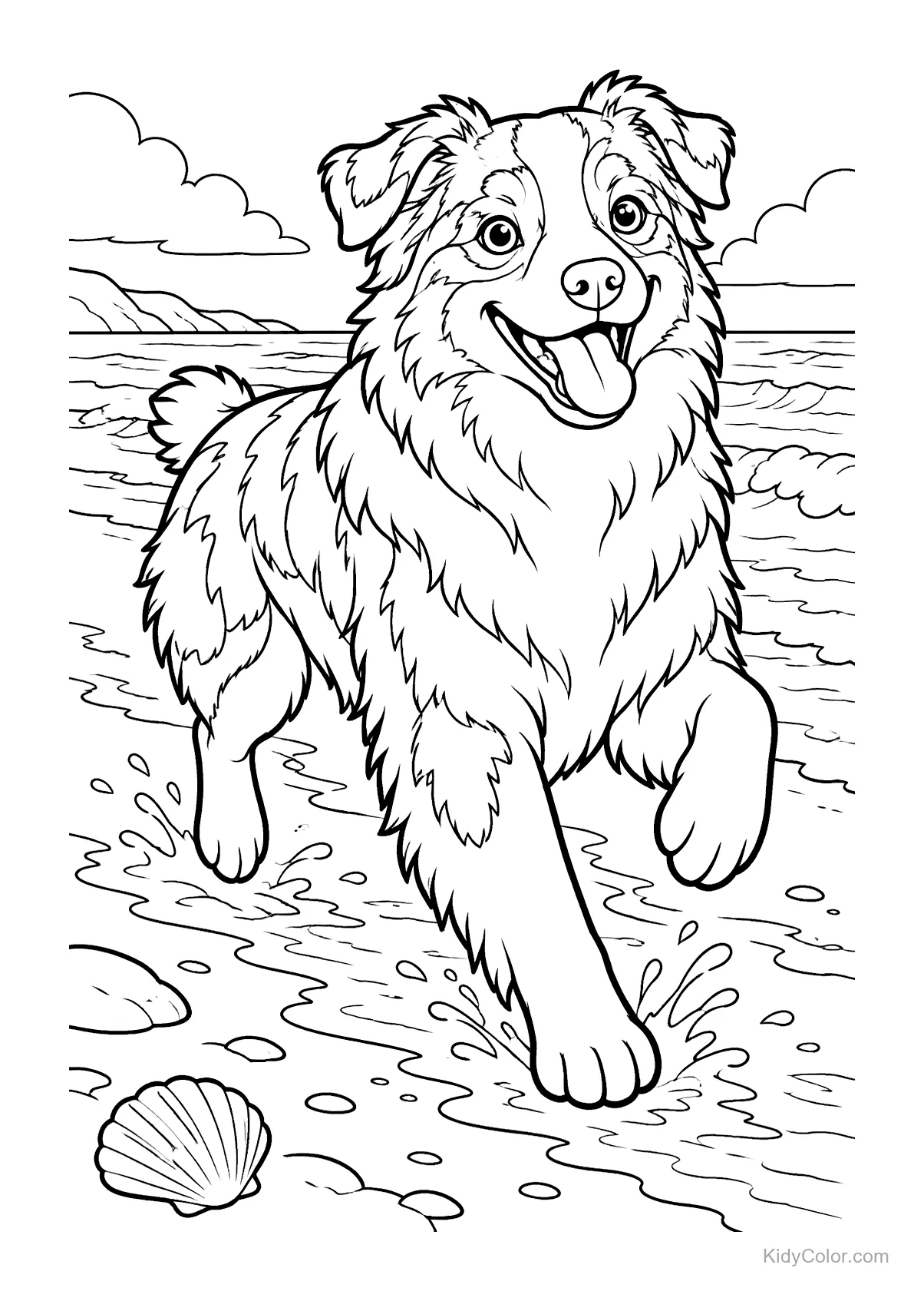 Australian Shepherd running on a beach with ocean waves and a seashell.