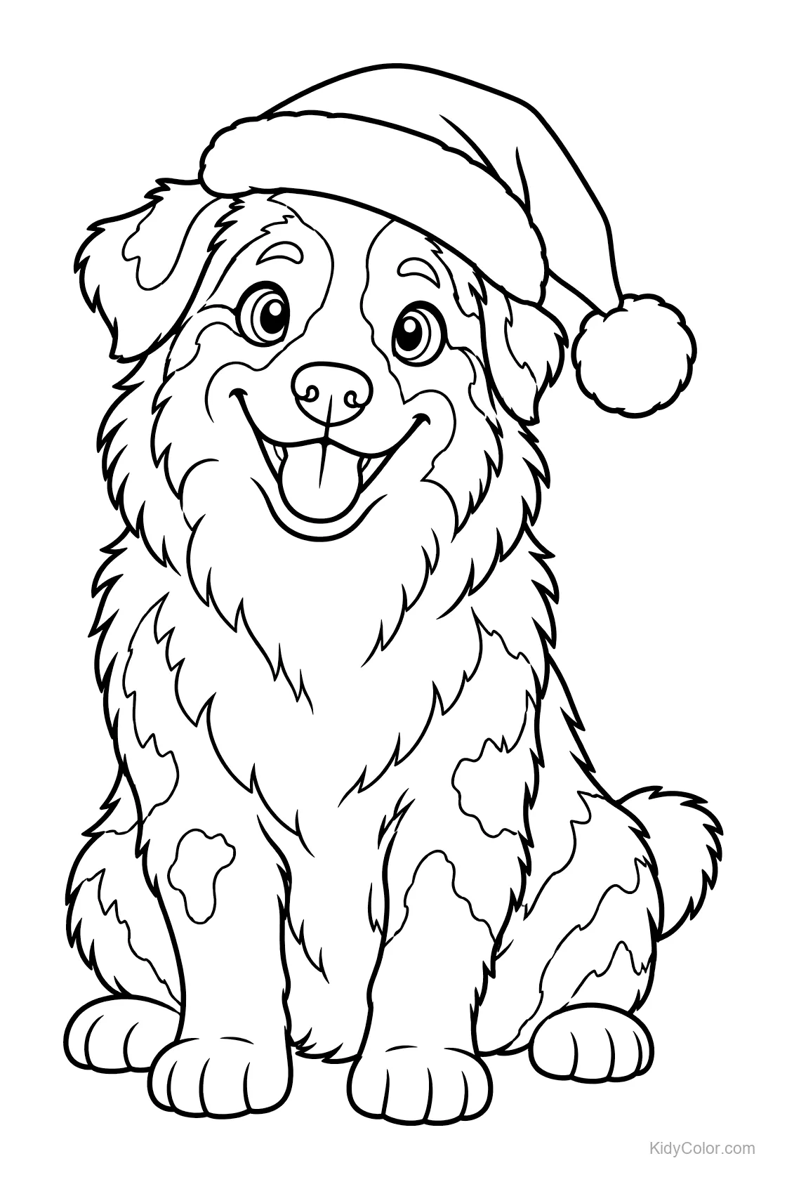 Australischer Schäferhund mit Weihnachtsmütze, sitzt und lächelt.