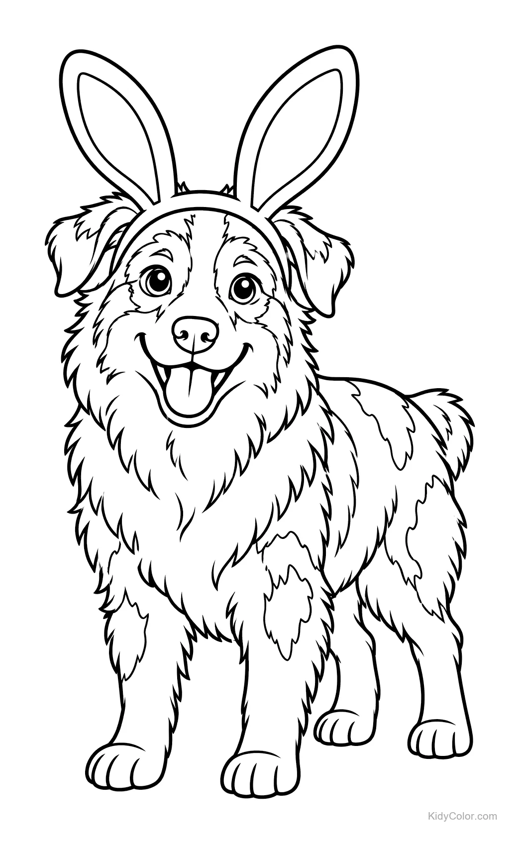 Australischer Schäferhund mit Hasenohren, stehend und lächelnd.