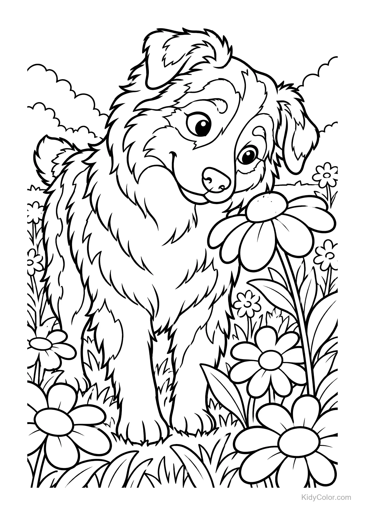 Australian Shepherd sniffing flowers in a garden.