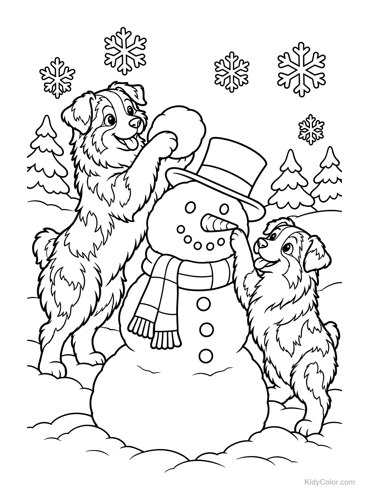 Two Australian Shepherd dogs building a snowman in snow.