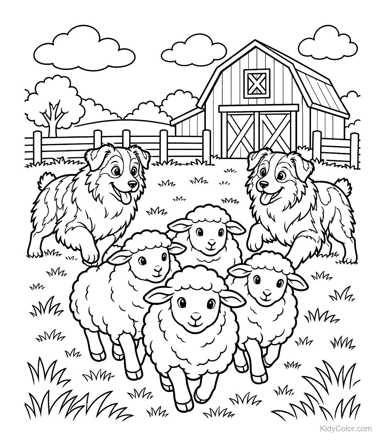 Twee Australische herders hoeden schapen voor een schuur.