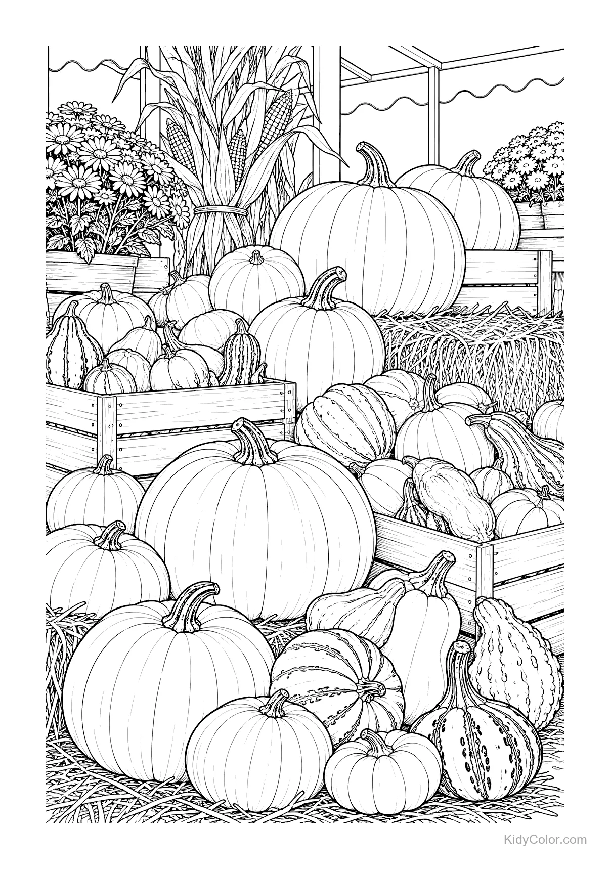 Autumn market display with pumpkins, gourds, and corn.