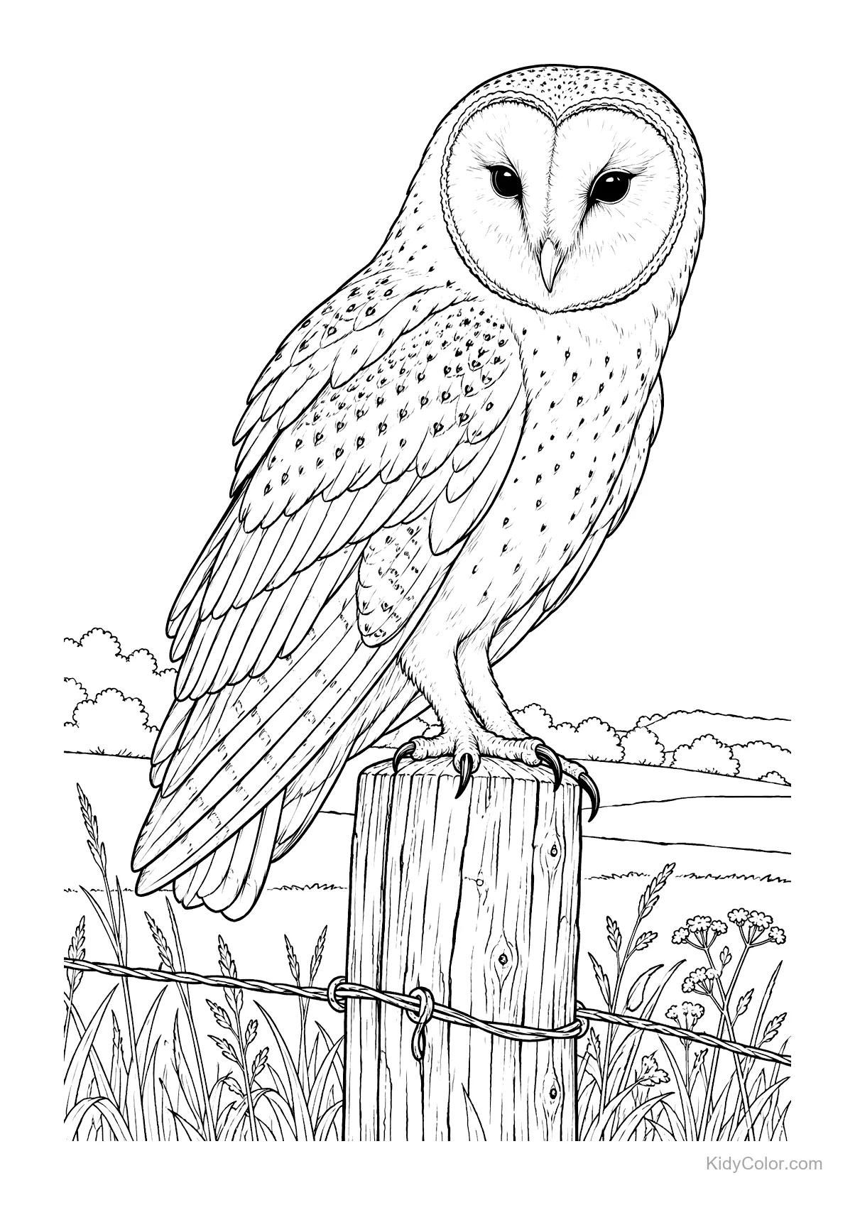 Barn owl perched on a weathered fence post in a field.