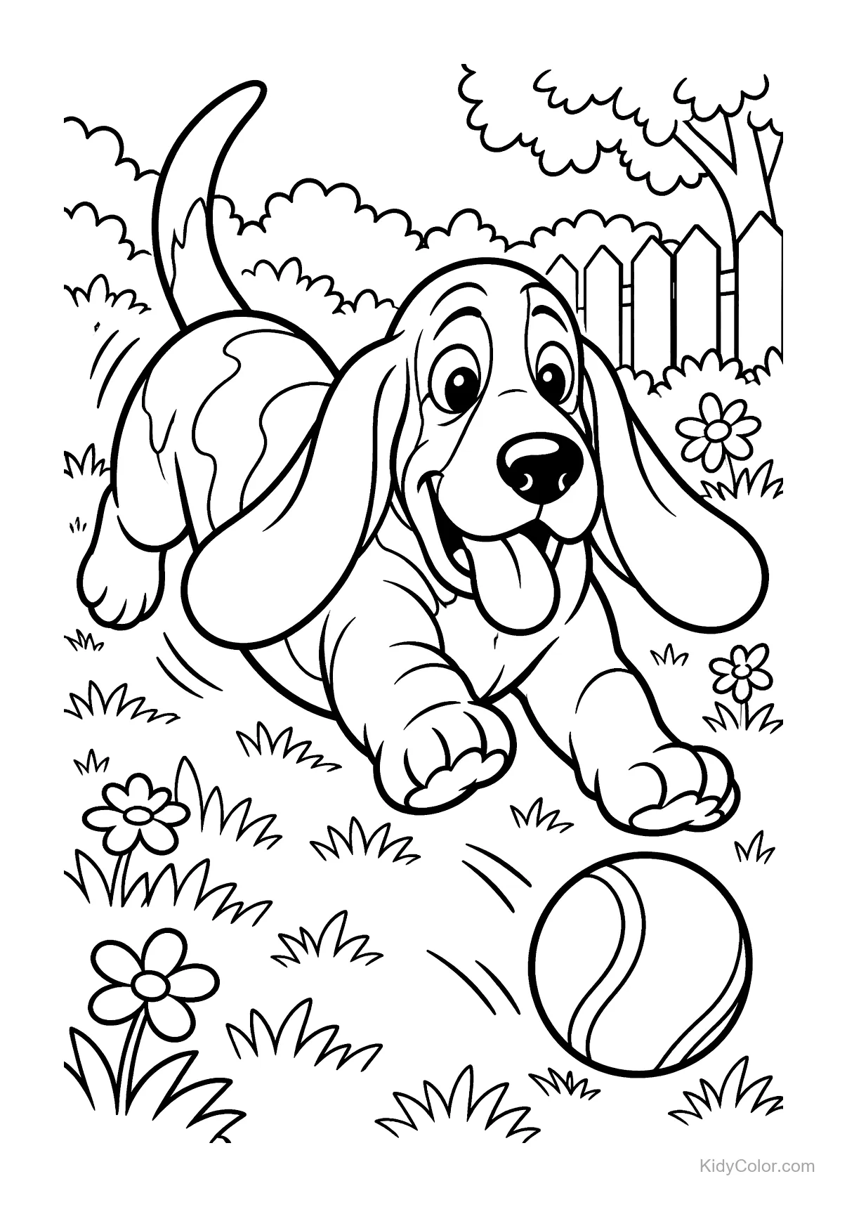 Basset Hound with long ears chasing a ball in a garden.