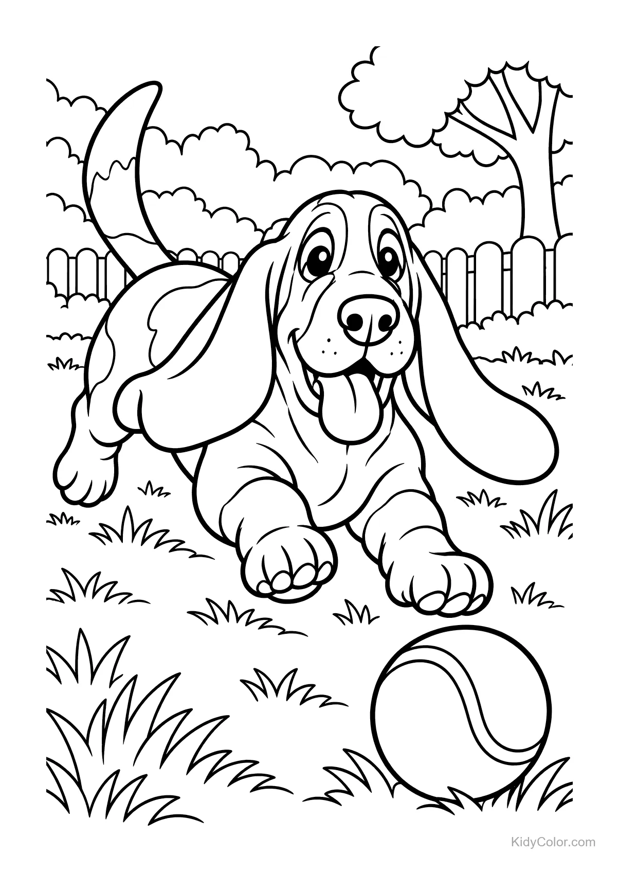 Basset Hound mit langen Ohren jagt einen Ball im Garten.