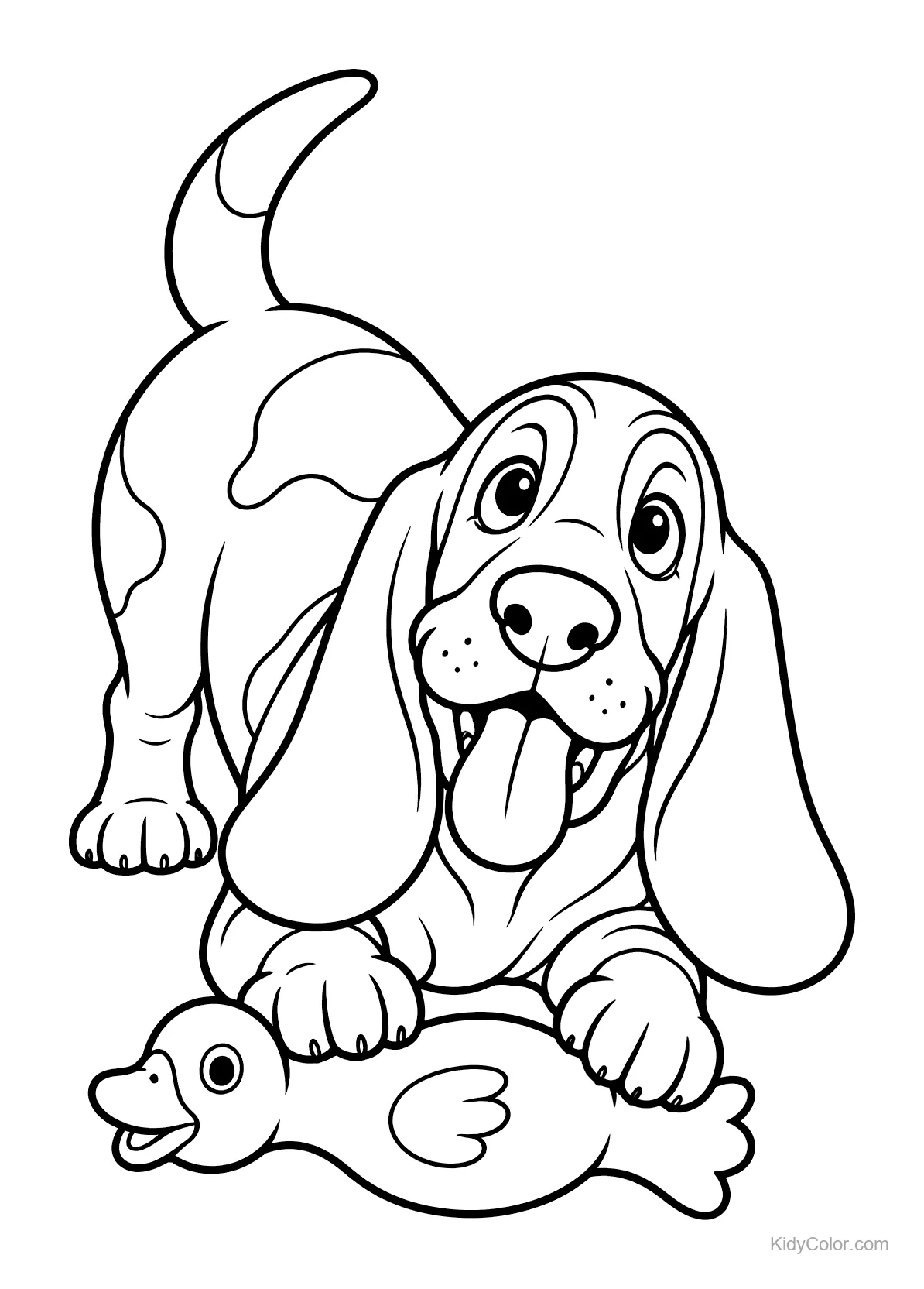 Basset Hound mit einer Spielzeugente, bereit zum Spielen.