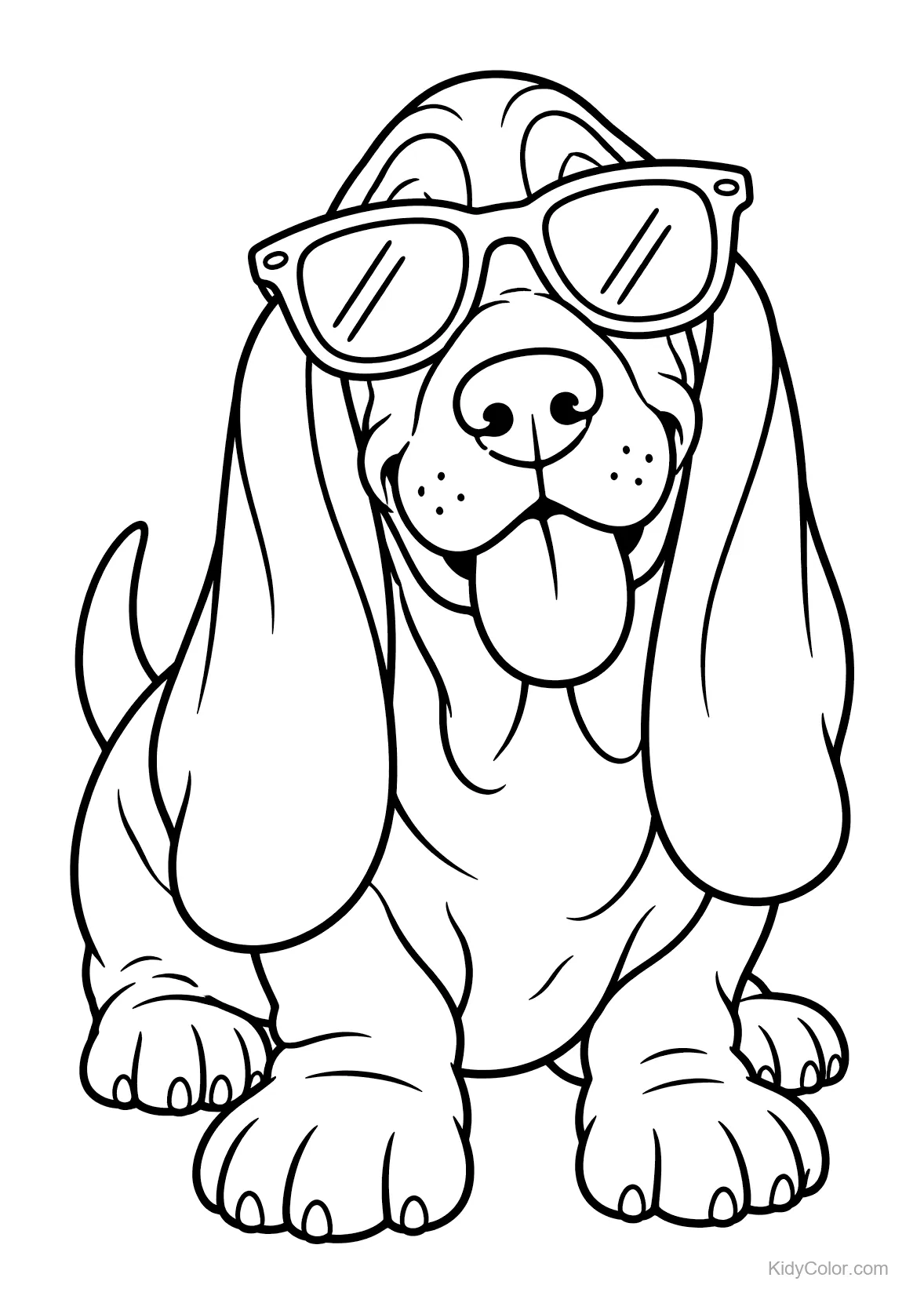 Basset Hound wearing sunglasses with long ears drooping down.