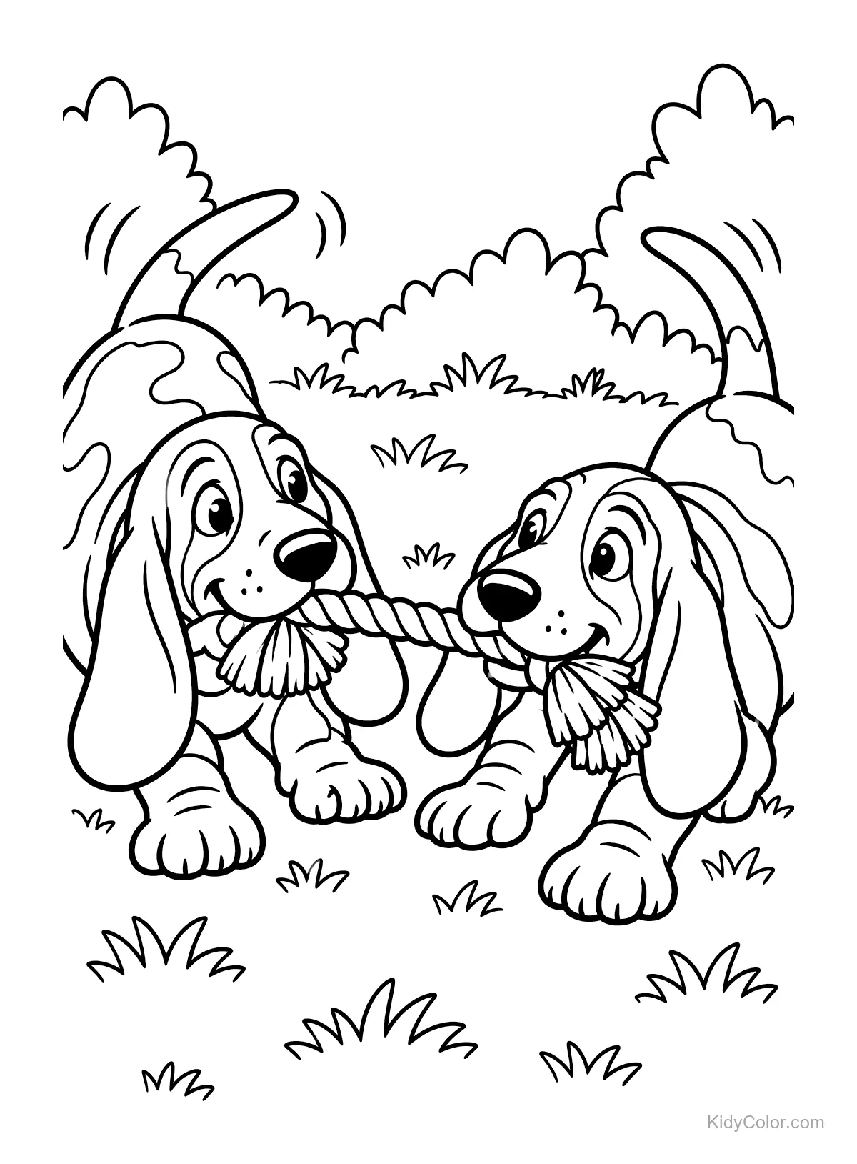 Zwei Basset Hounds ziehen an einem Seil im Garten.