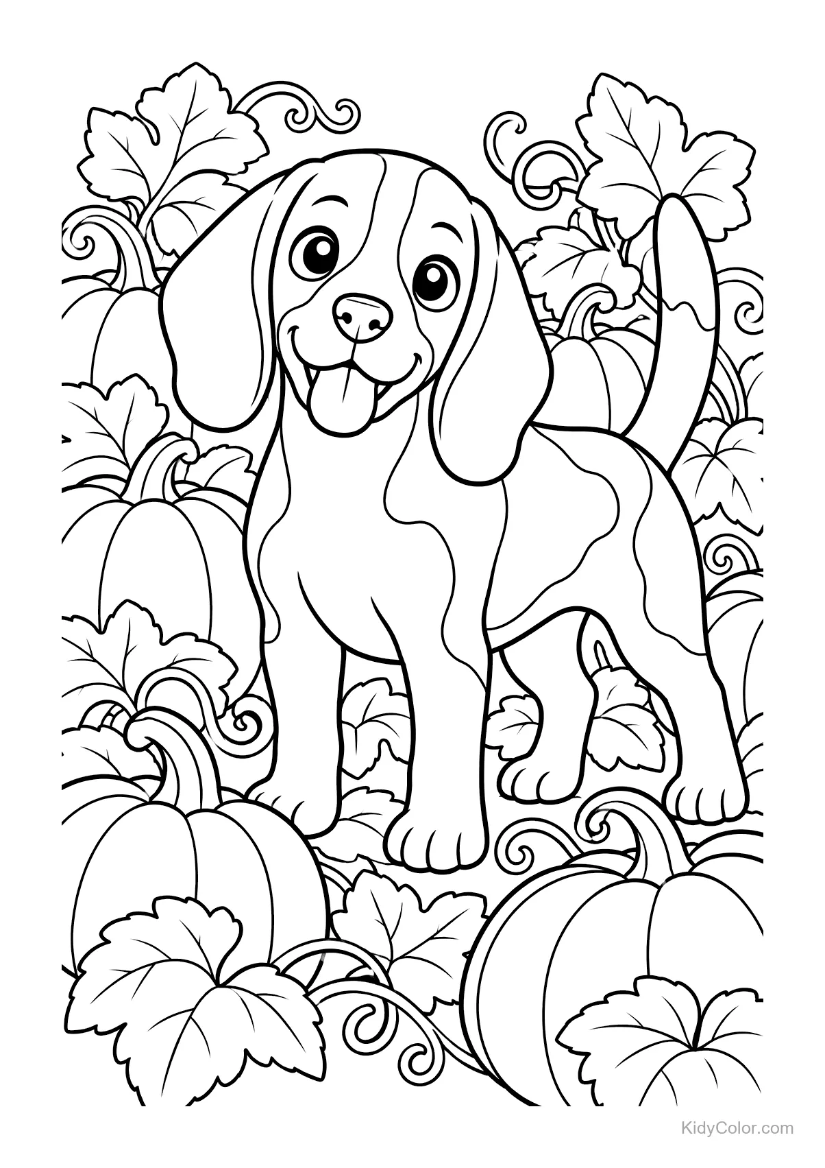 Beagle surrounded by large pumpkins and leaves.