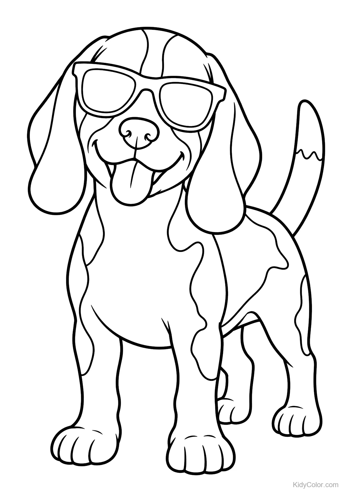 Beagle wearing sunglasses with a happy expression.