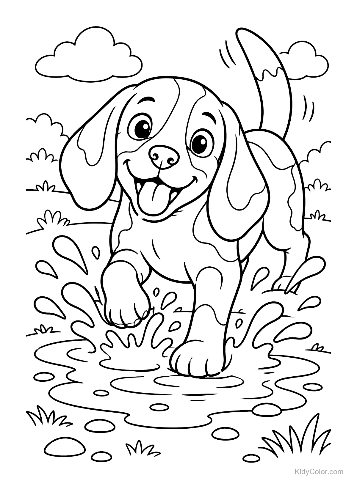Un beagle joueur éclabousse joyeusement dans une flaque.