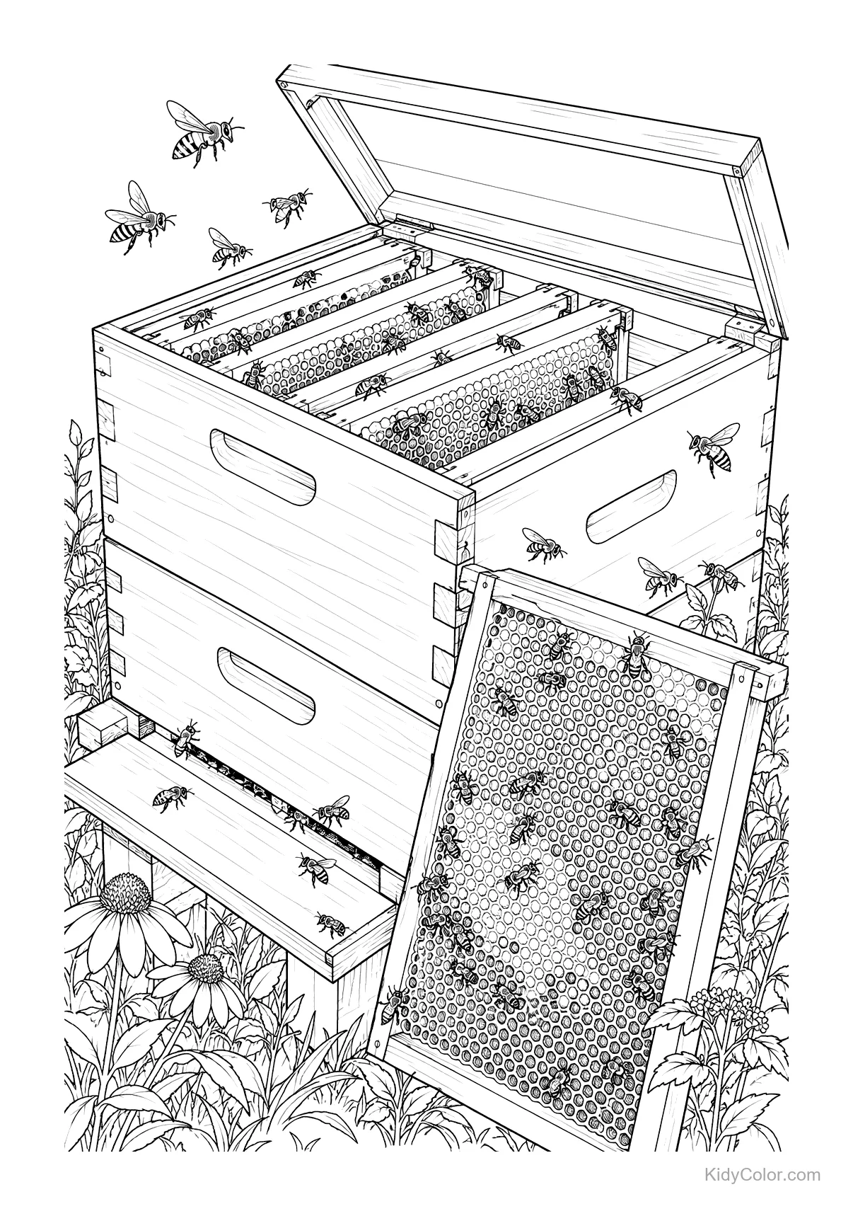A beehive with honeycombs surrounded by bees and garden plants.