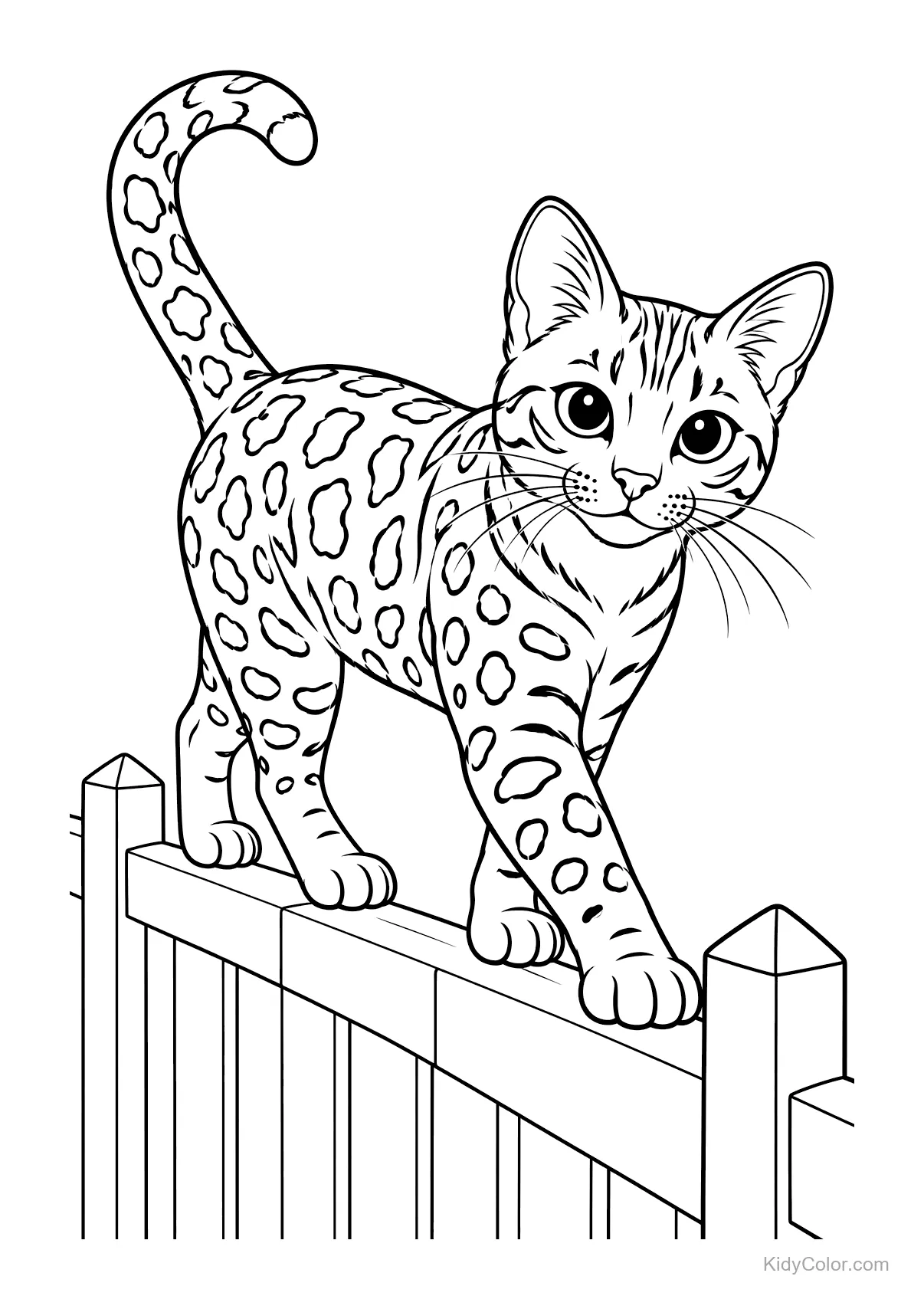Bengalkatze mit geflecktem Fell balanciert auf einem Zaun.