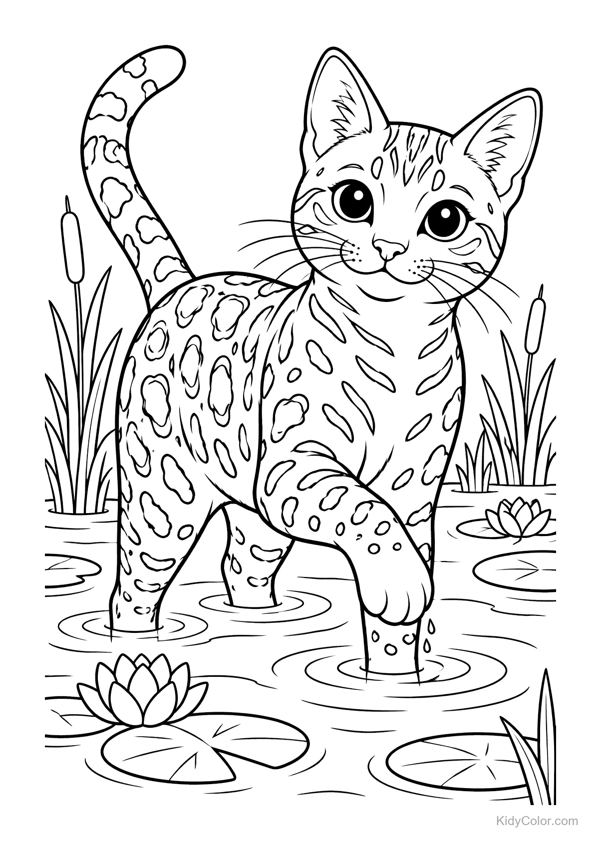 Gatto Bengalese con macchie in un laghetto con ninfee.