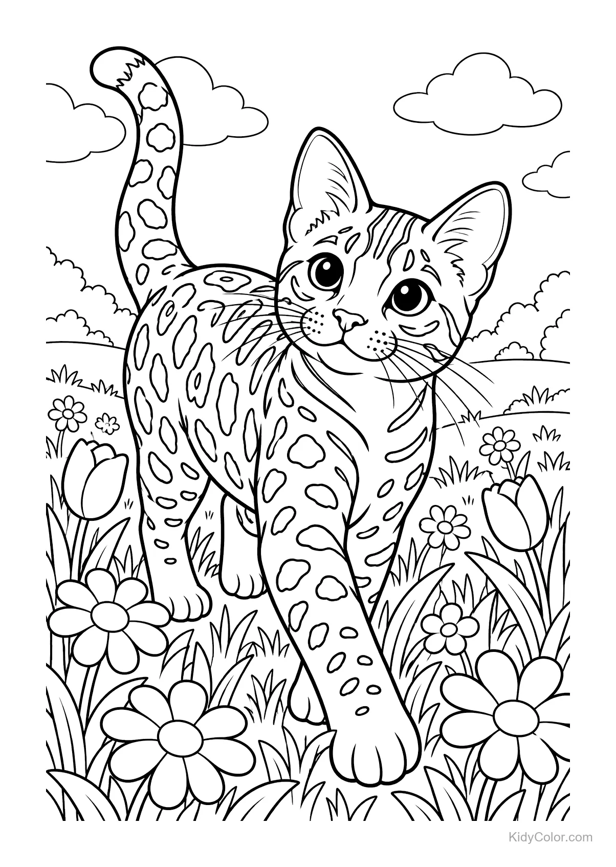 Gato Bengal com manchas andando em um campo com flores.