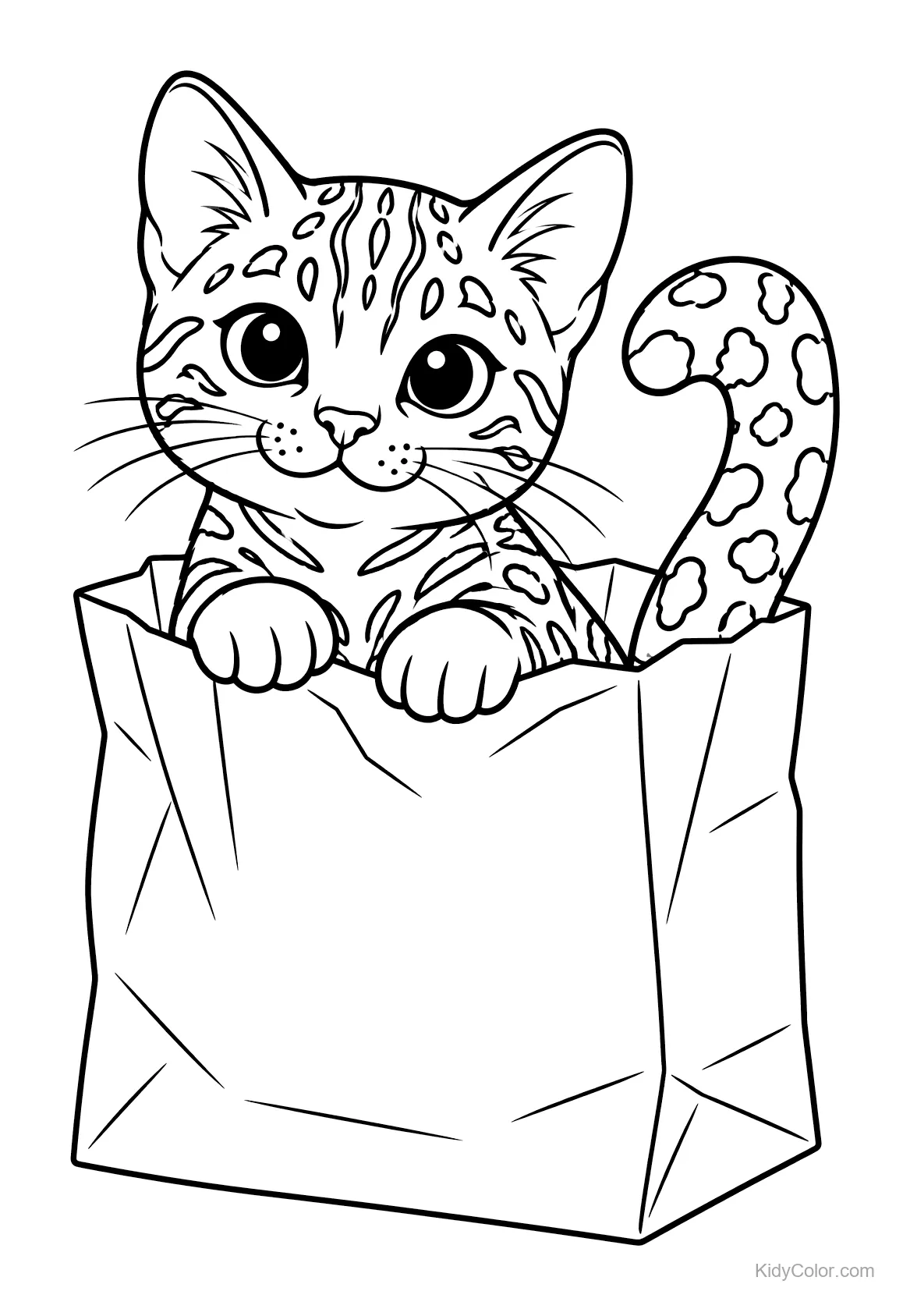 Gatto Bengalese con occhi grandi che sbuca da una borsa di carta.