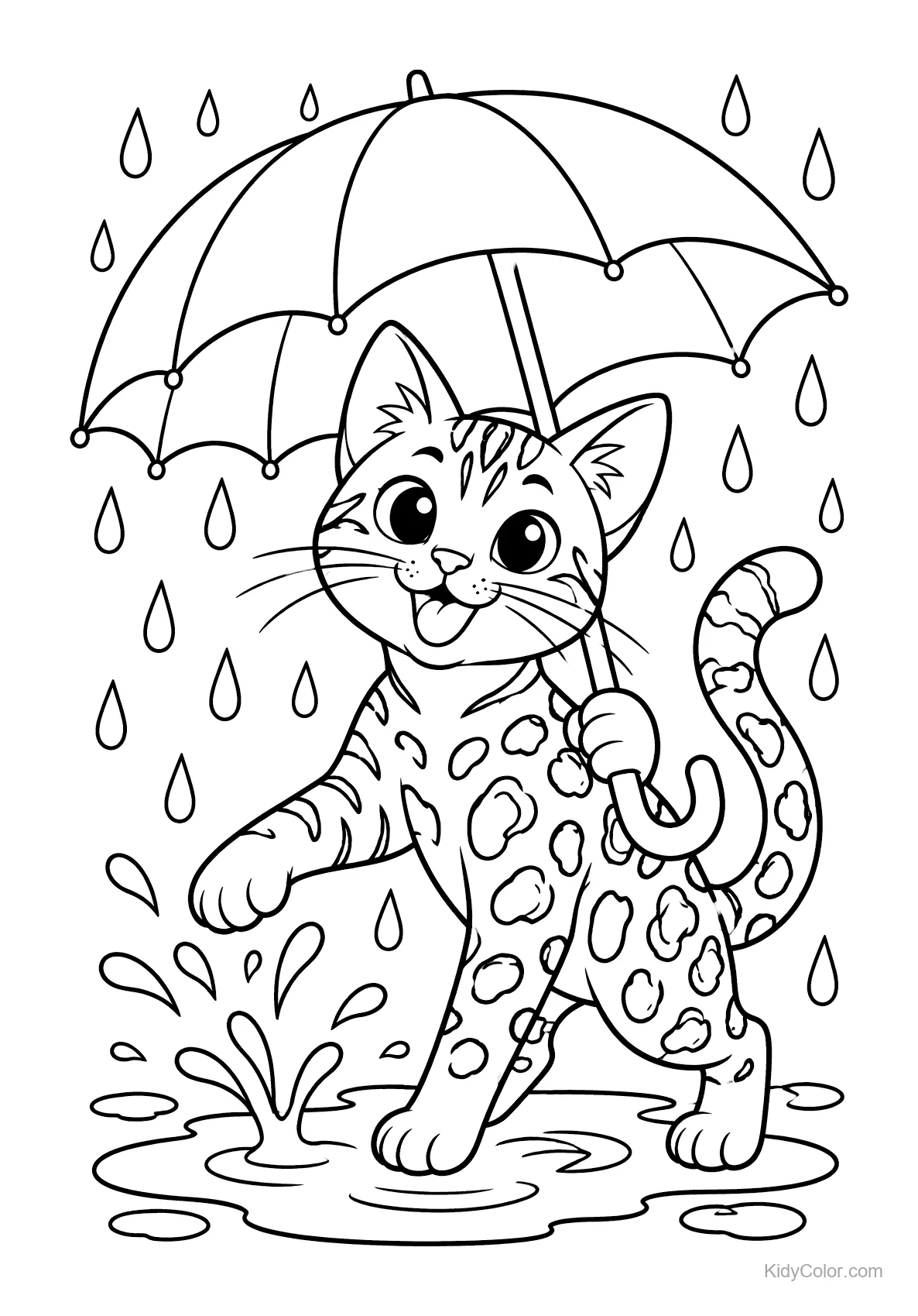 Bengal cat splashing in puddles with an umbrella.