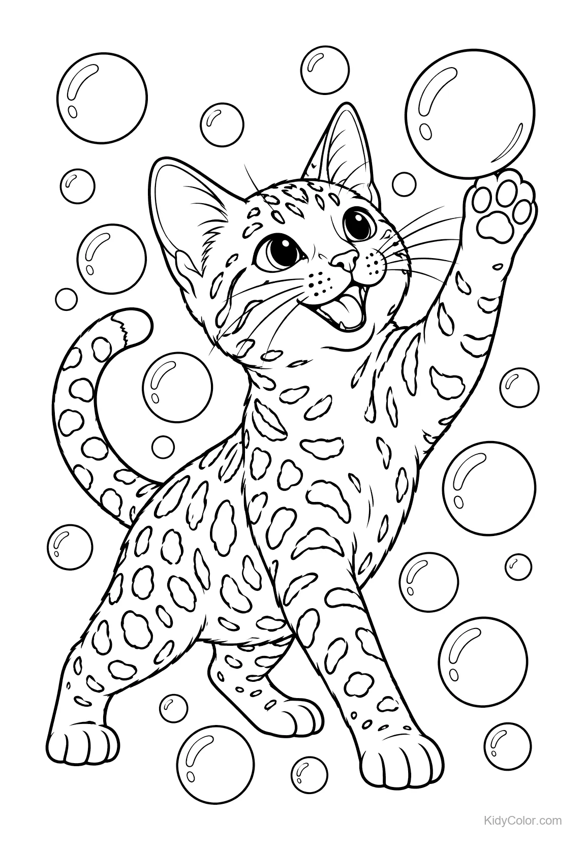 Gato-de-bengala brincando com bolhas, levantando a pata.