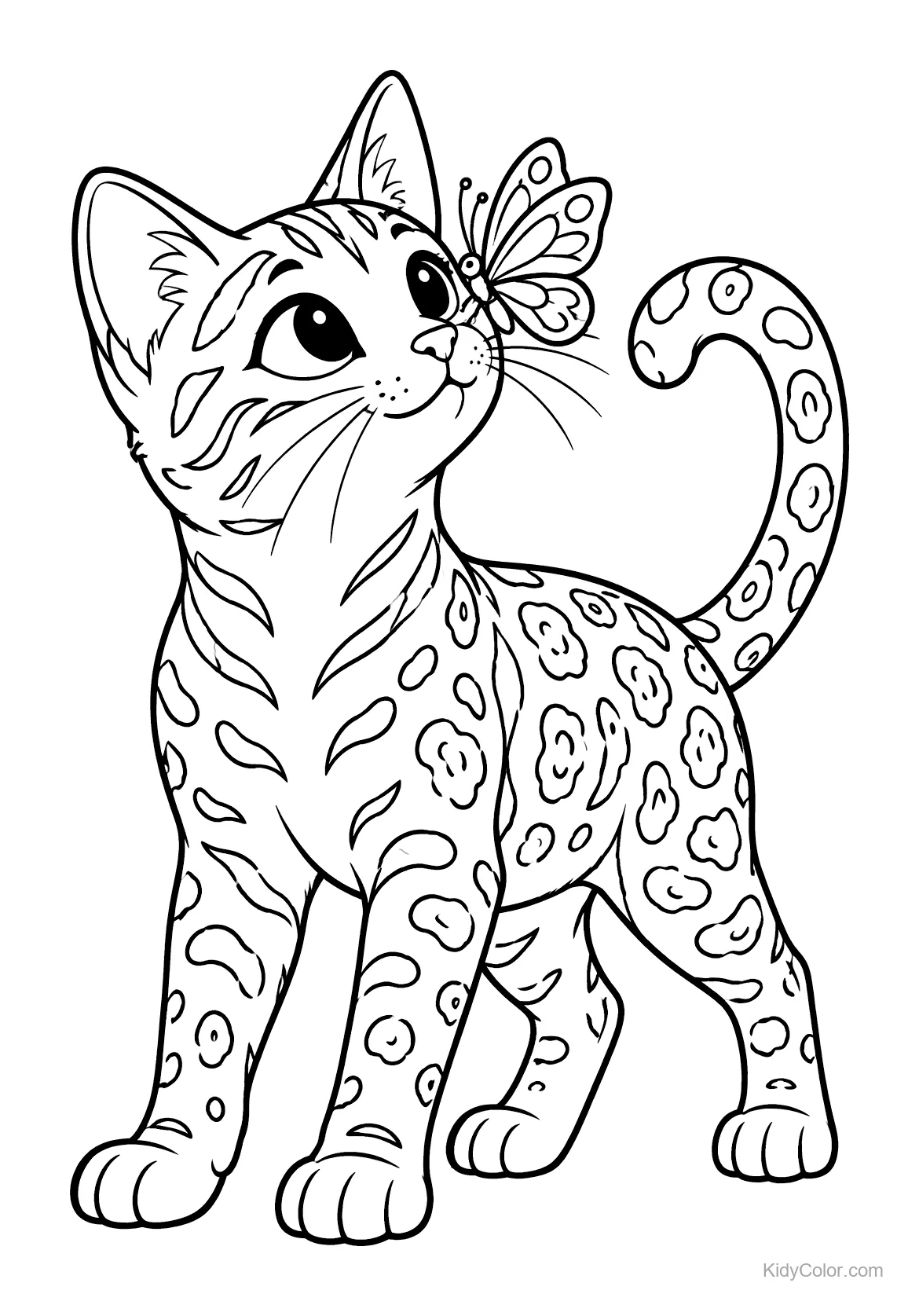 Gato de bengala olhando para uma borboleta no nariz.
