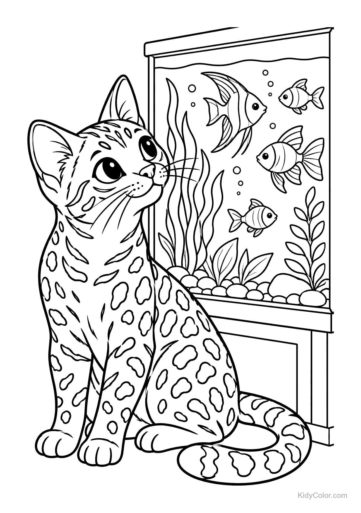 Gato de bengala sentado olhando peixes em um aquário.