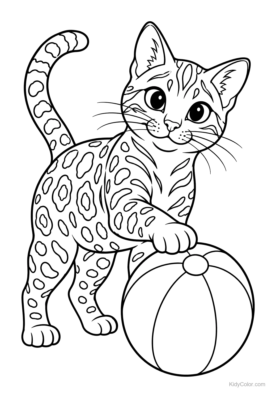 Bengaalse kat met een strandbal.
